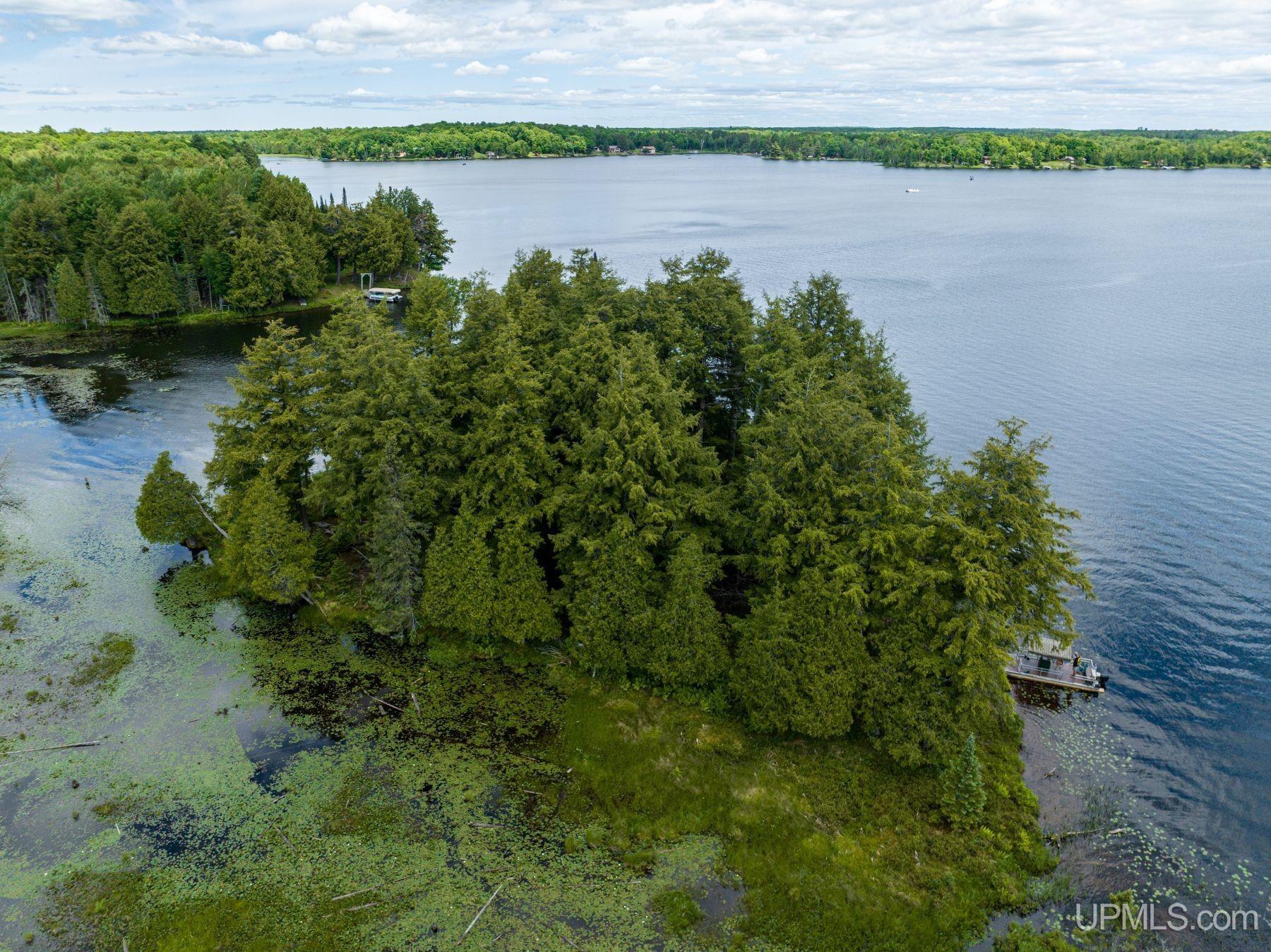 Off Boy Scout Island Road Property Photo 1