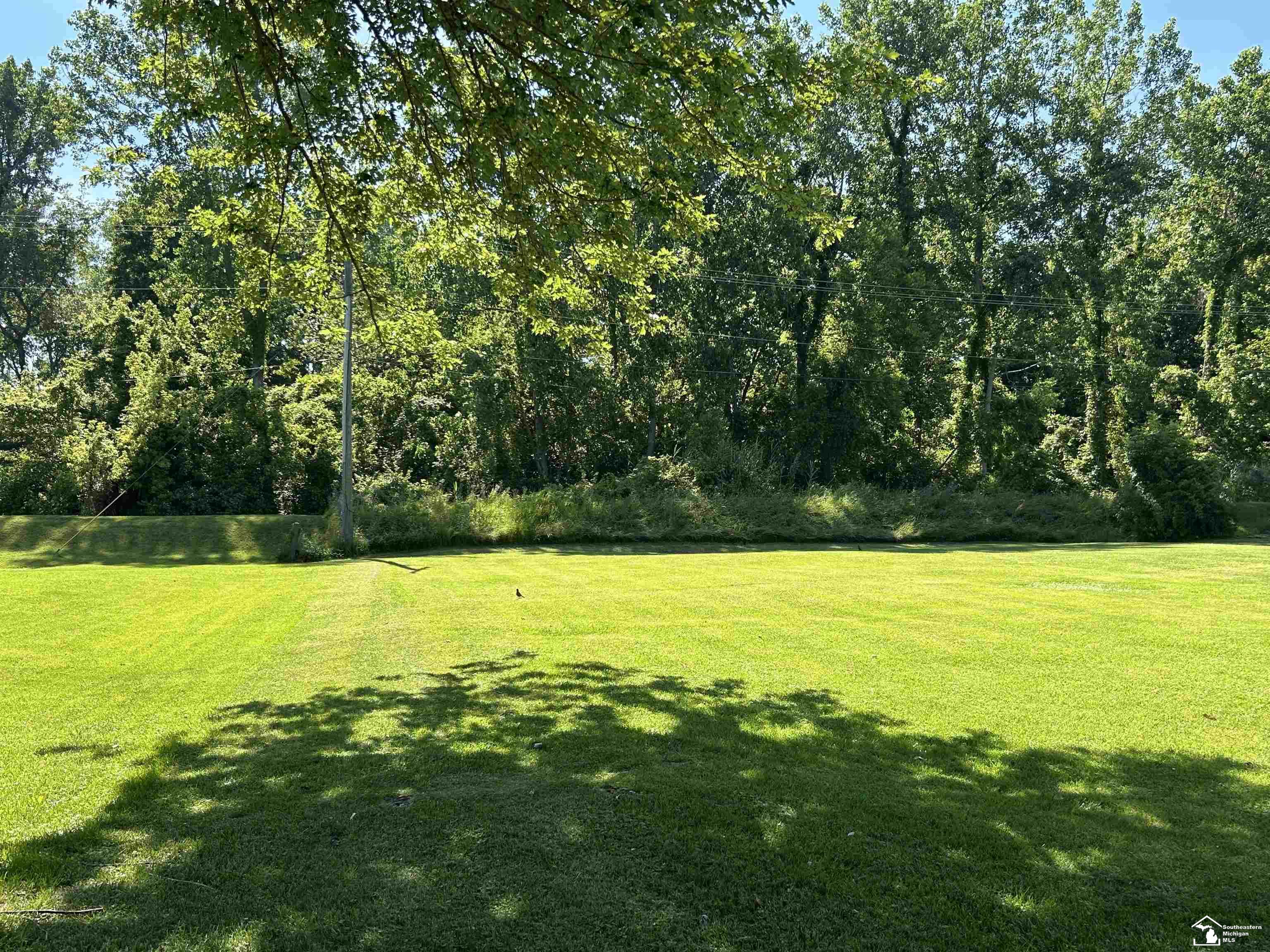 Sycamore Road Property Photo 15