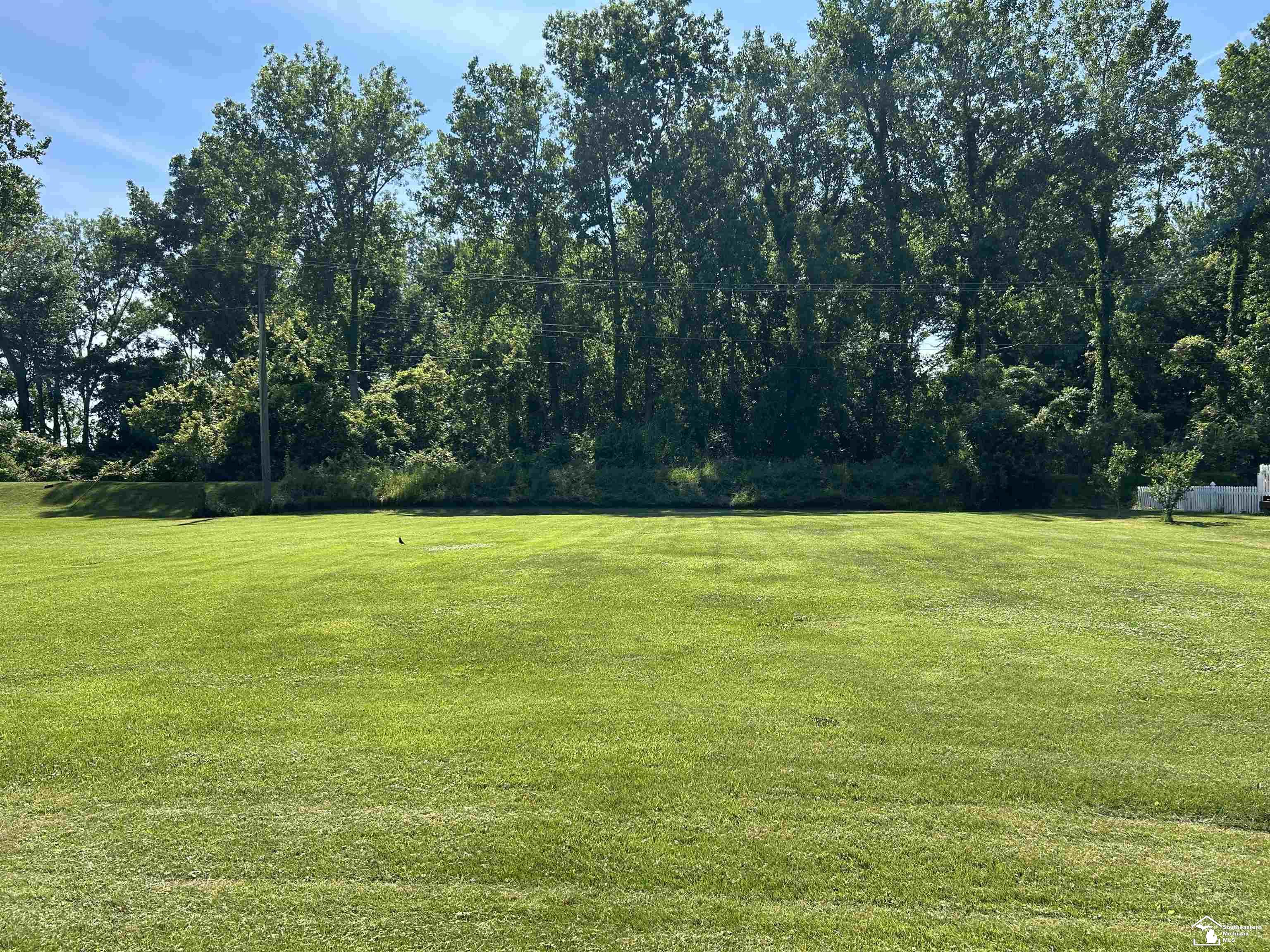 Sycamore Road Property Photo 16