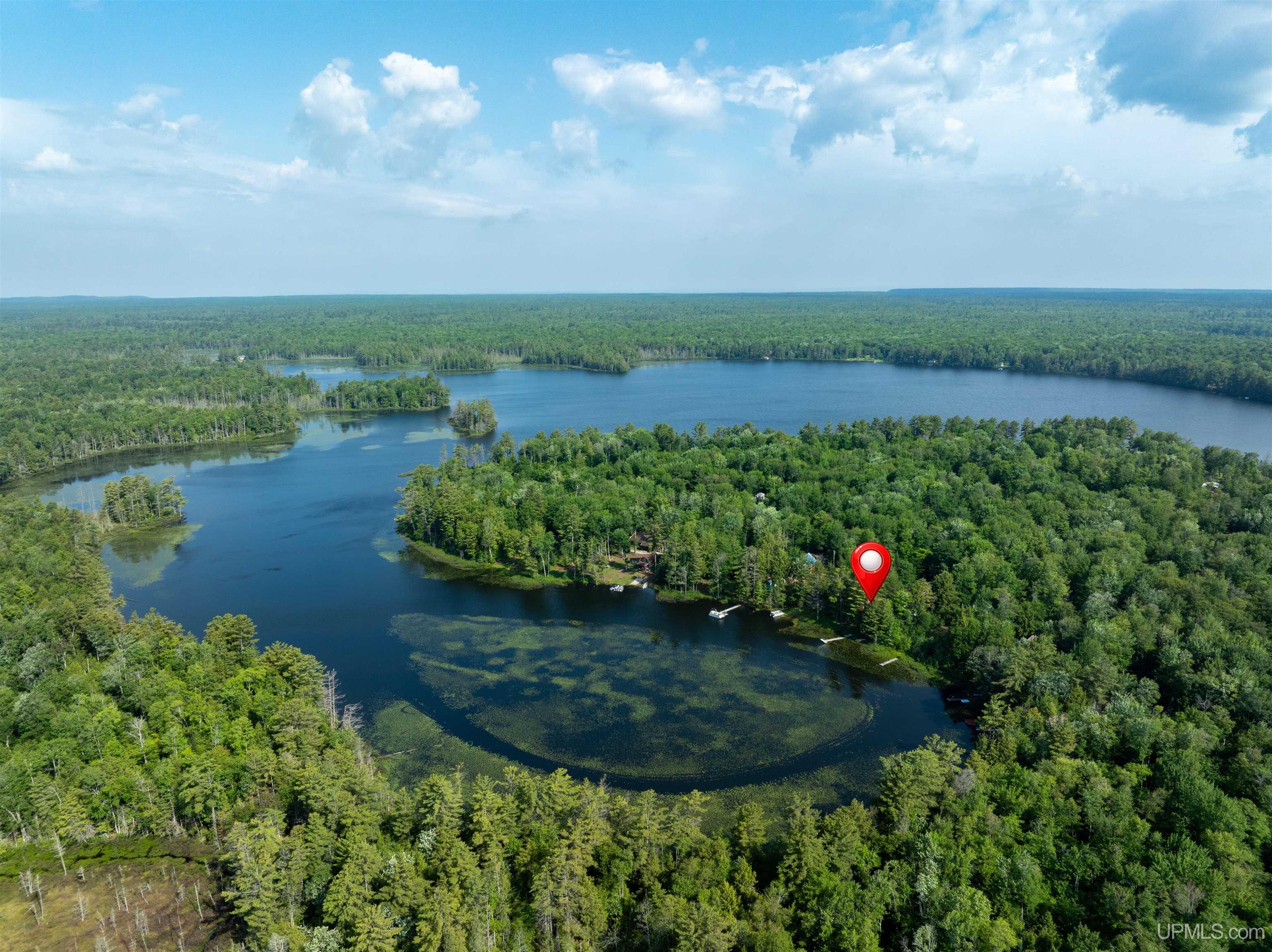 E16983 Nevins Lake Road Property Photo 2
