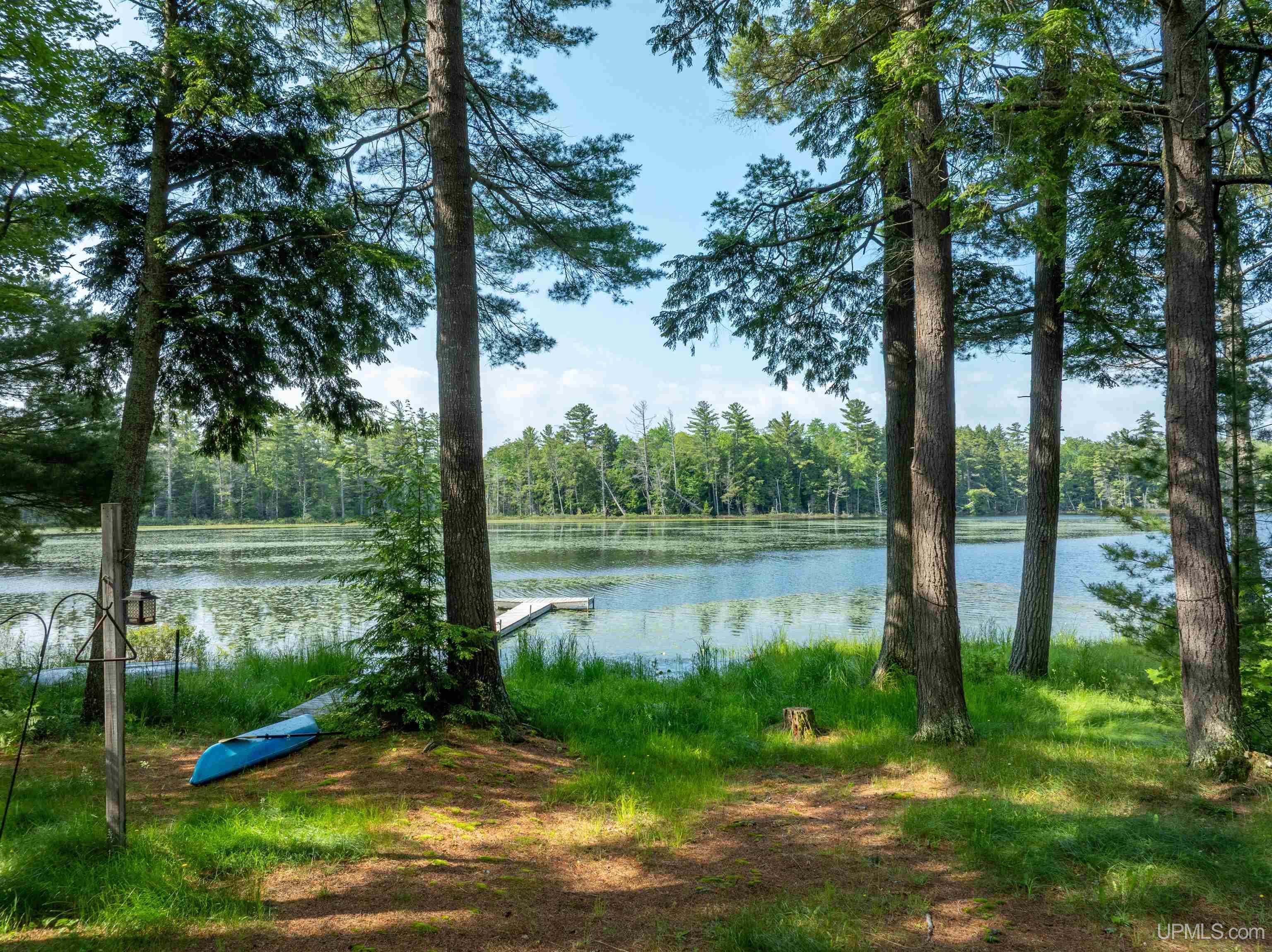 E16983 Nevins Lake Road Property Photo 22