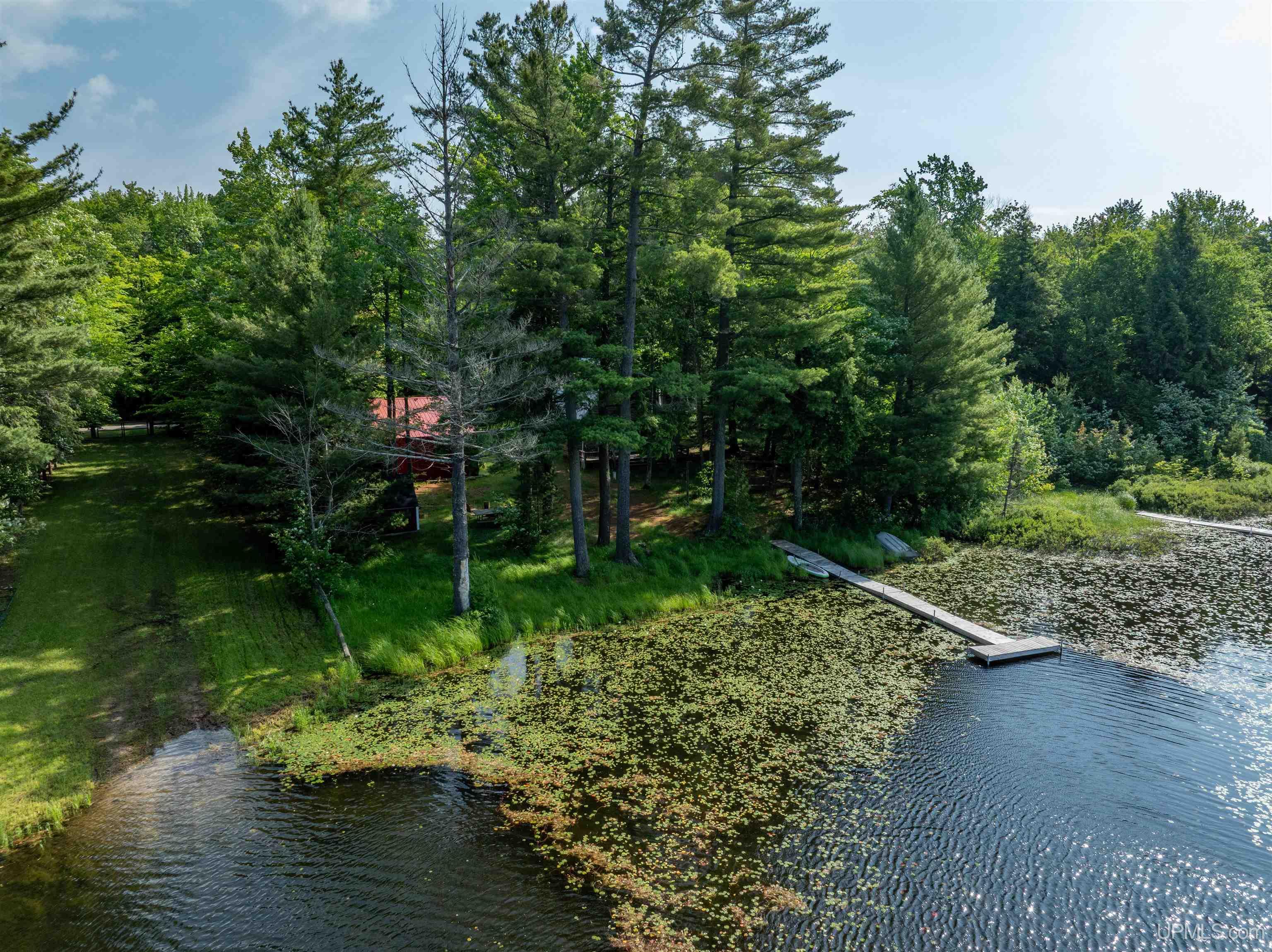 E16983 Nevins Lake Road Property Photo 34