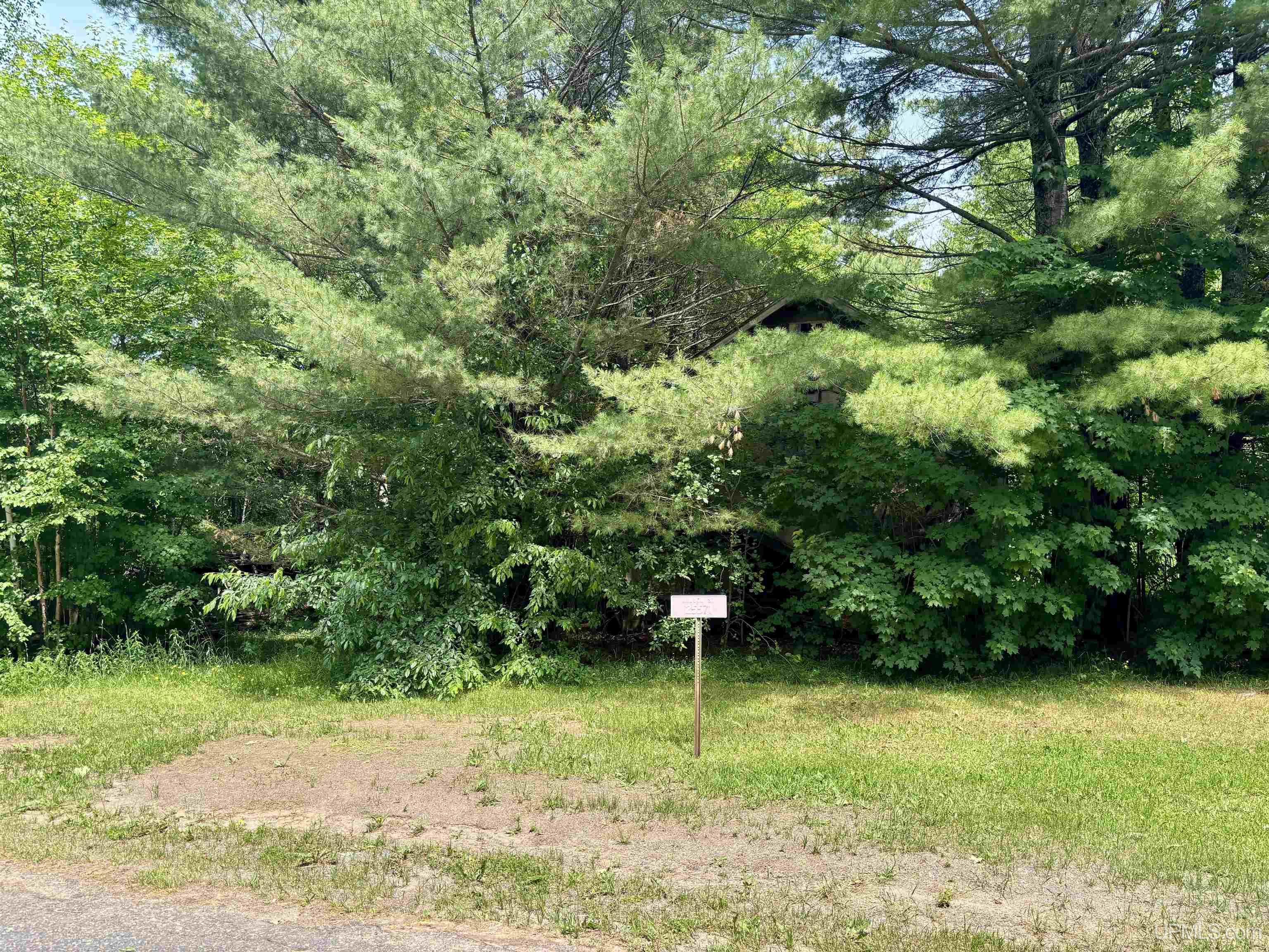25571 Nelson Street Property Photo 1