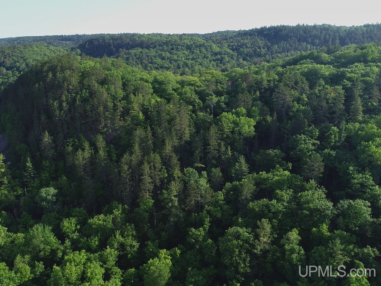 46 County Aat Road Property Photo 19