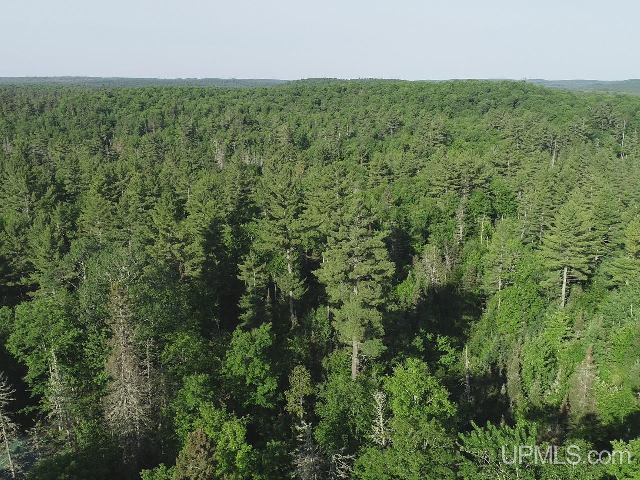 46 County Aat Road Property Photo 20