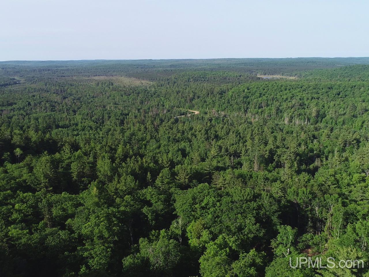 46 County Aat Road Property Photo 29