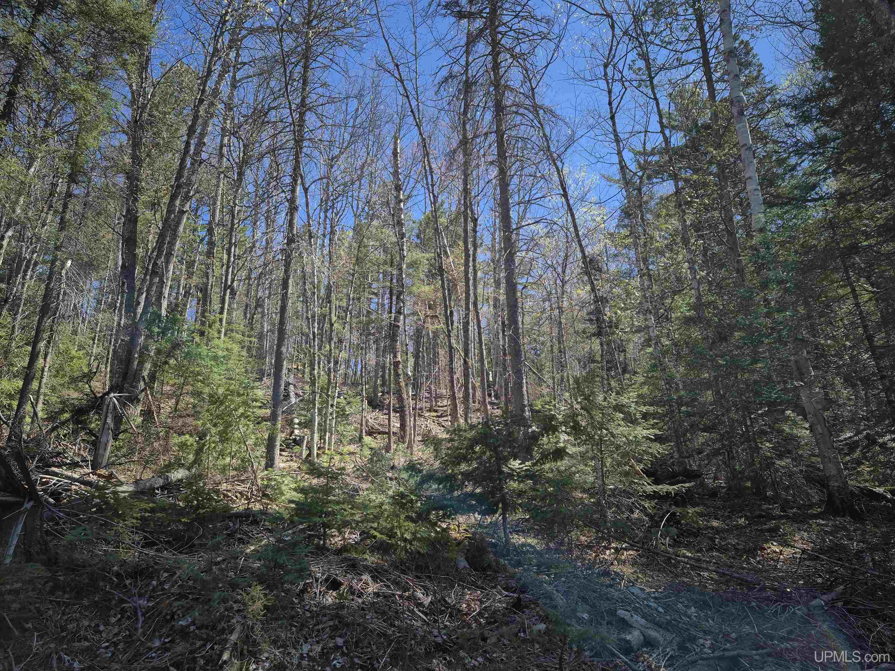 46 County Aat Road Property Photo 30