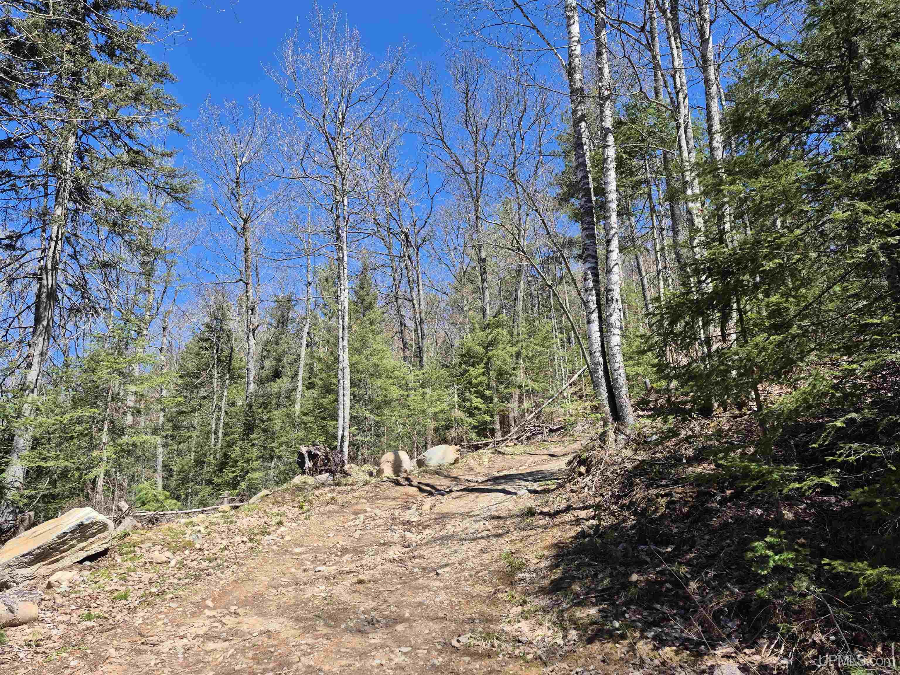 46 County Aat Road Property Photo 31