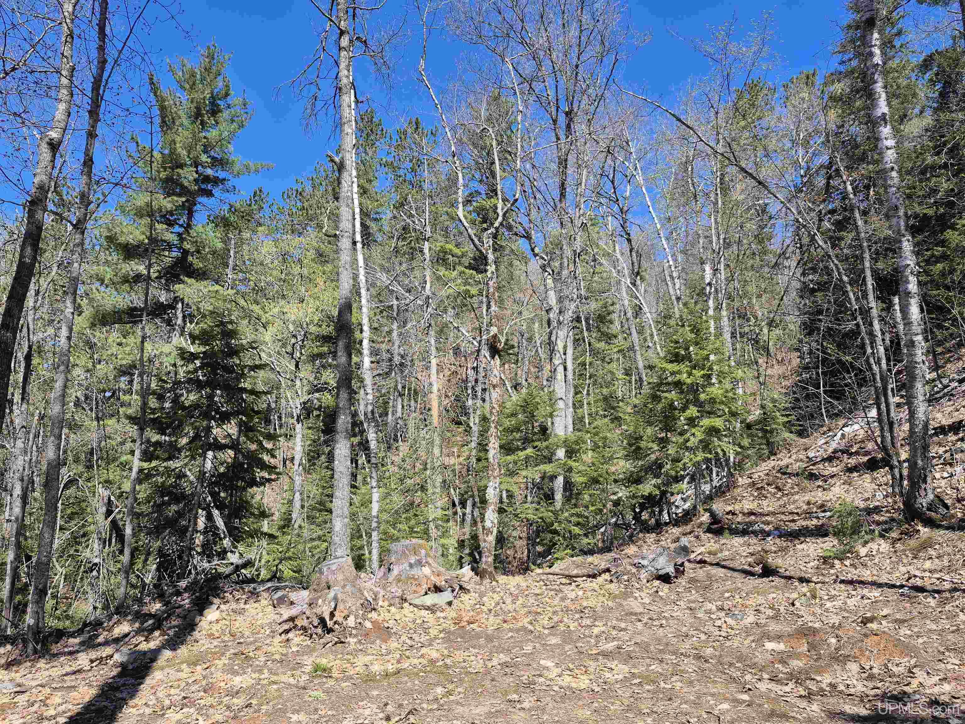 46 County Aat Road Property Photo 35