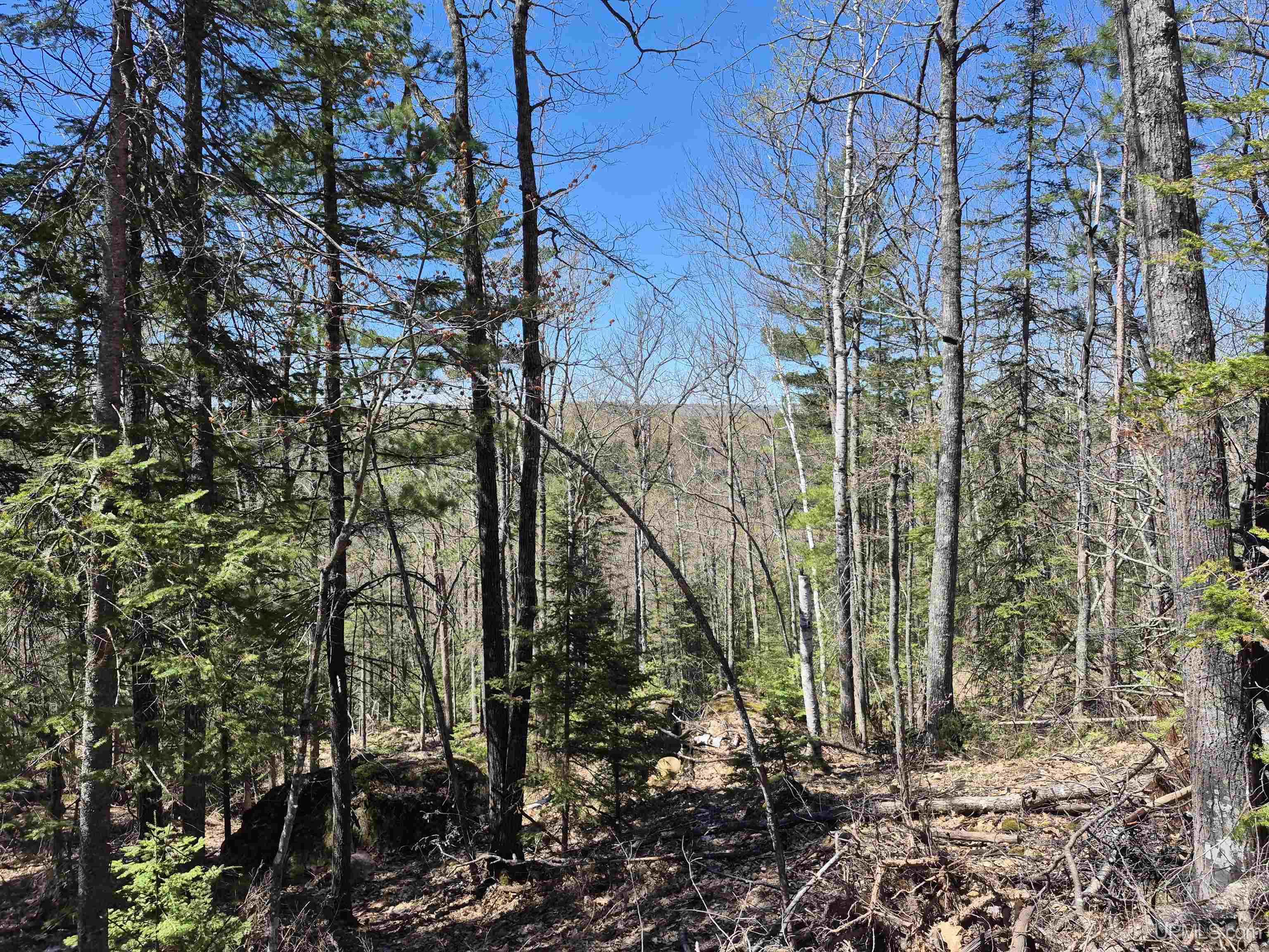 46 County Aat Road Property Photo 39