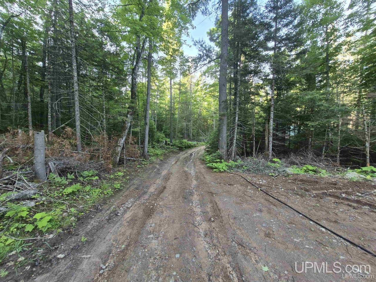 46 County Aat Road Property Photo 41