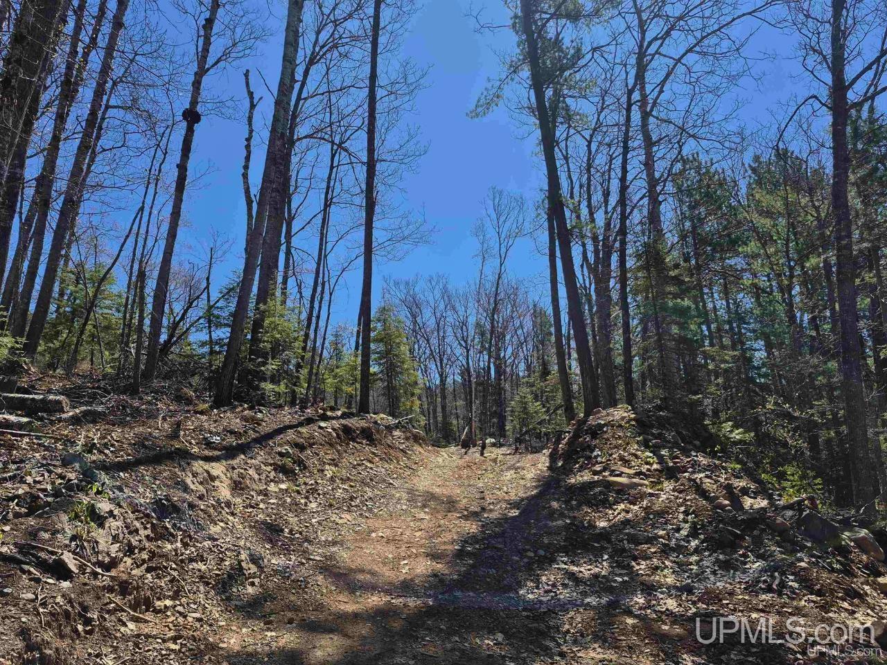 46 County Aat Road Property Photo 42