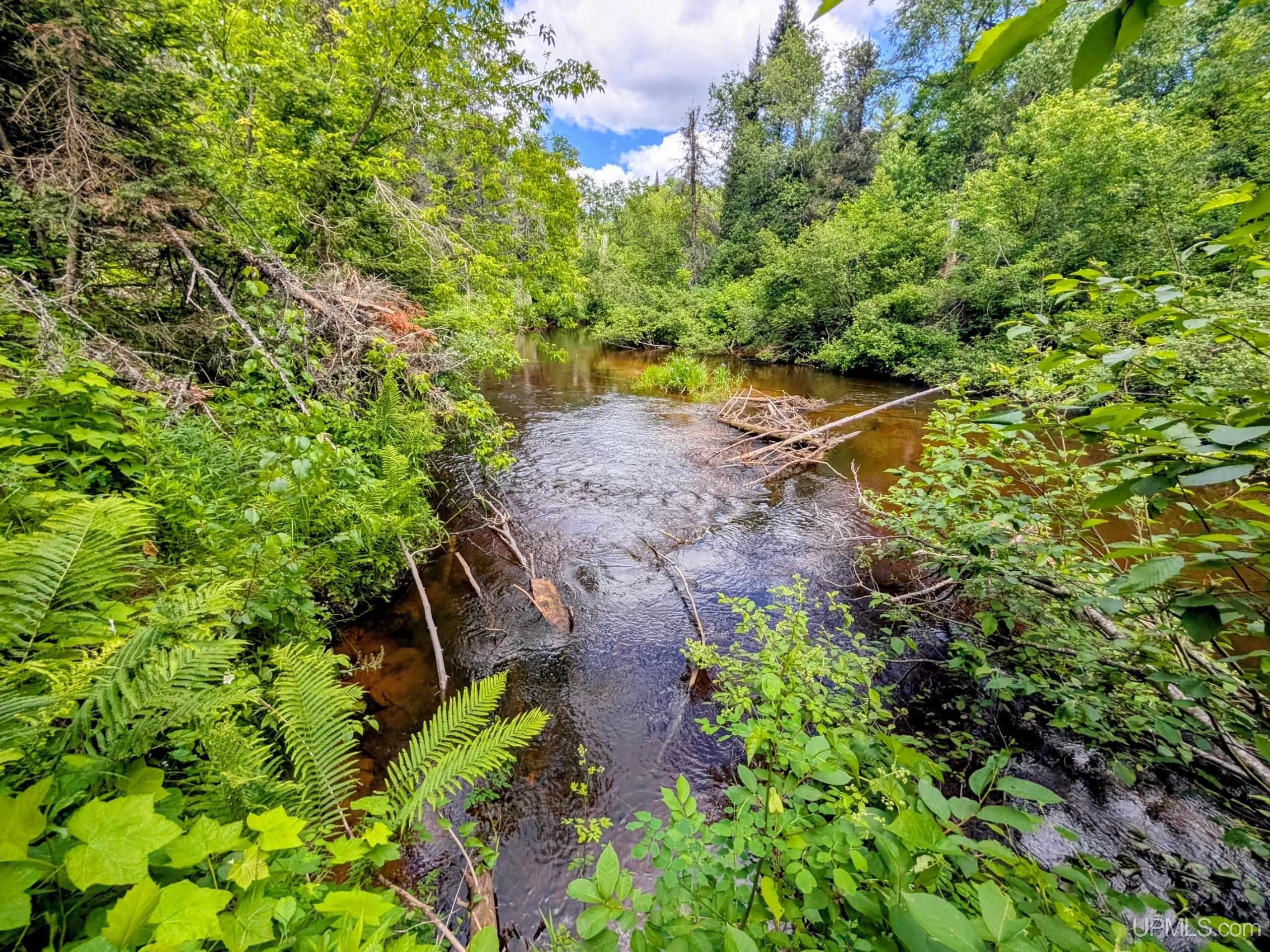 55 Acres Old M 28 Highway Property Photo 3