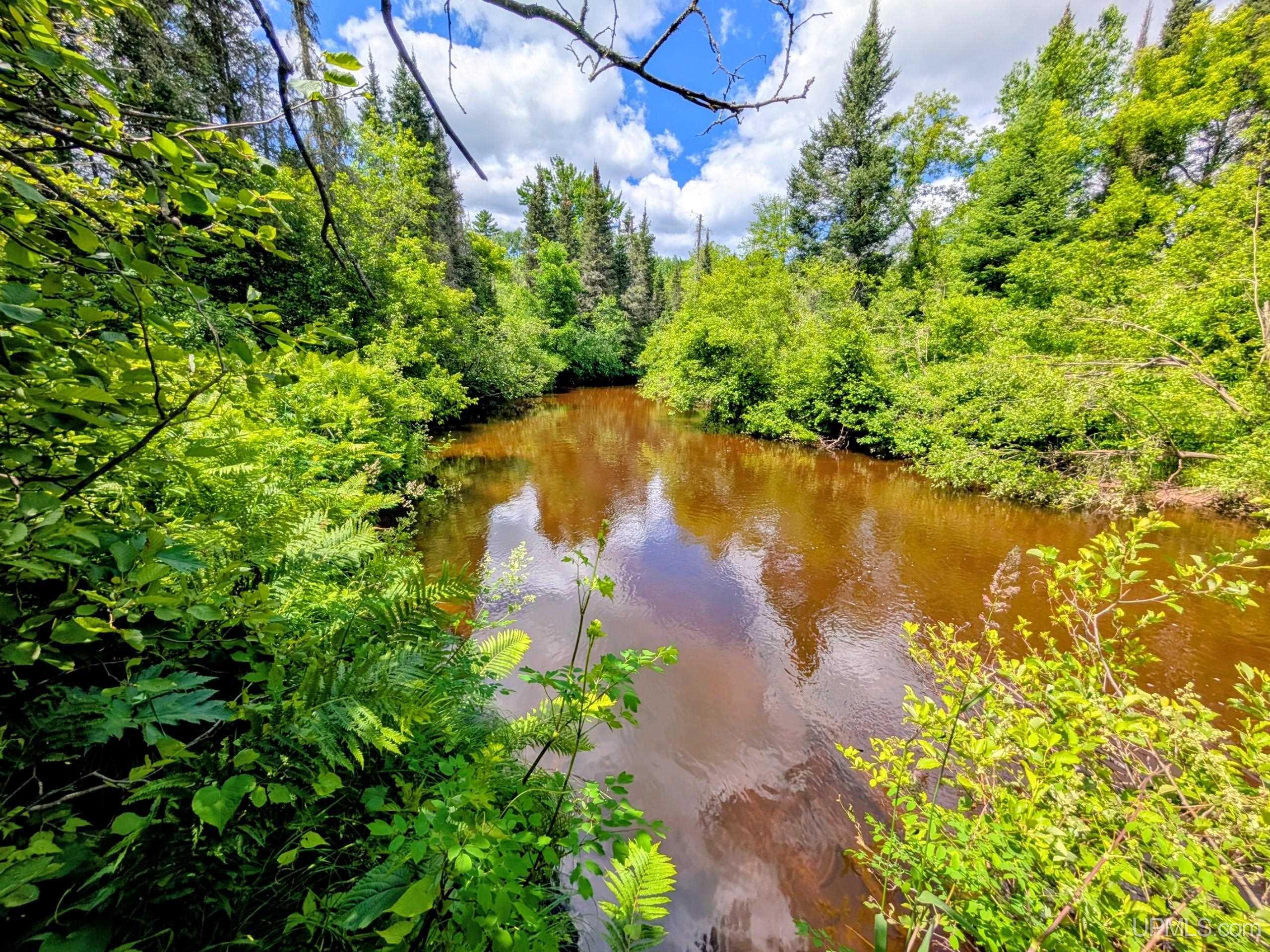 55 Acres Old M 28 Highway Property Photo 4