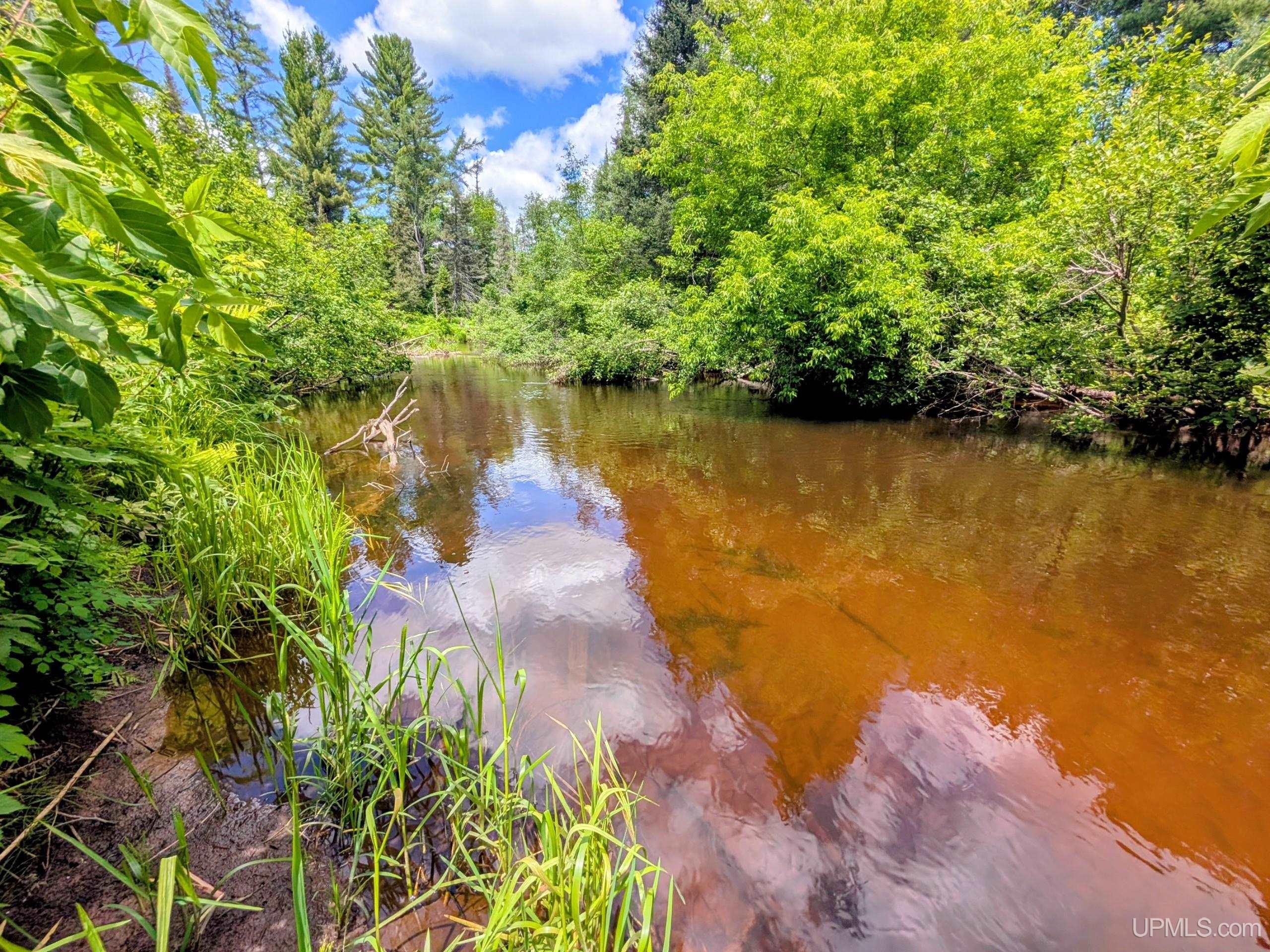 55 Acres Old M 28 Highway Property Photo 5