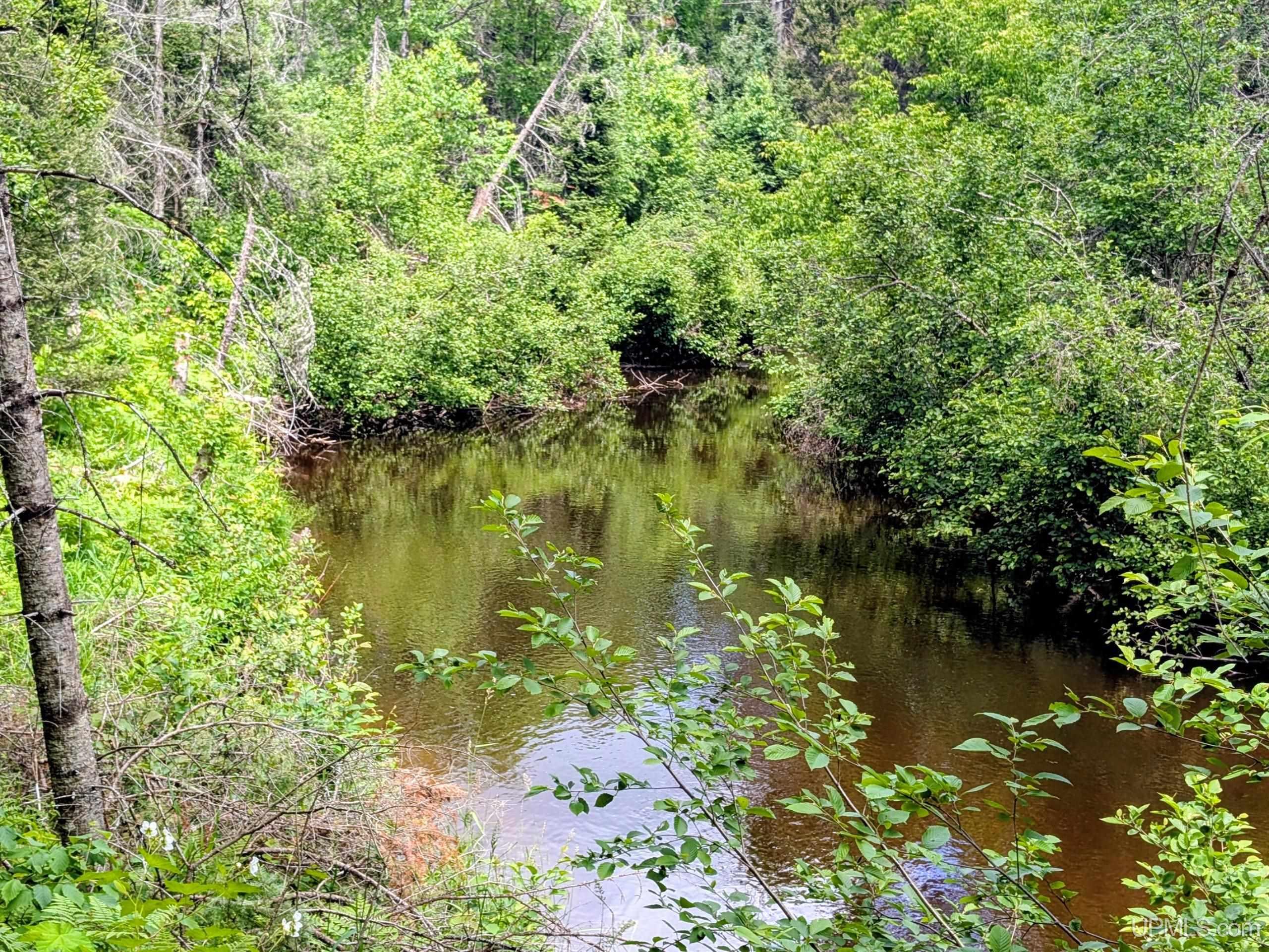 55 Acres Old M 28 Highway Property Photo 6