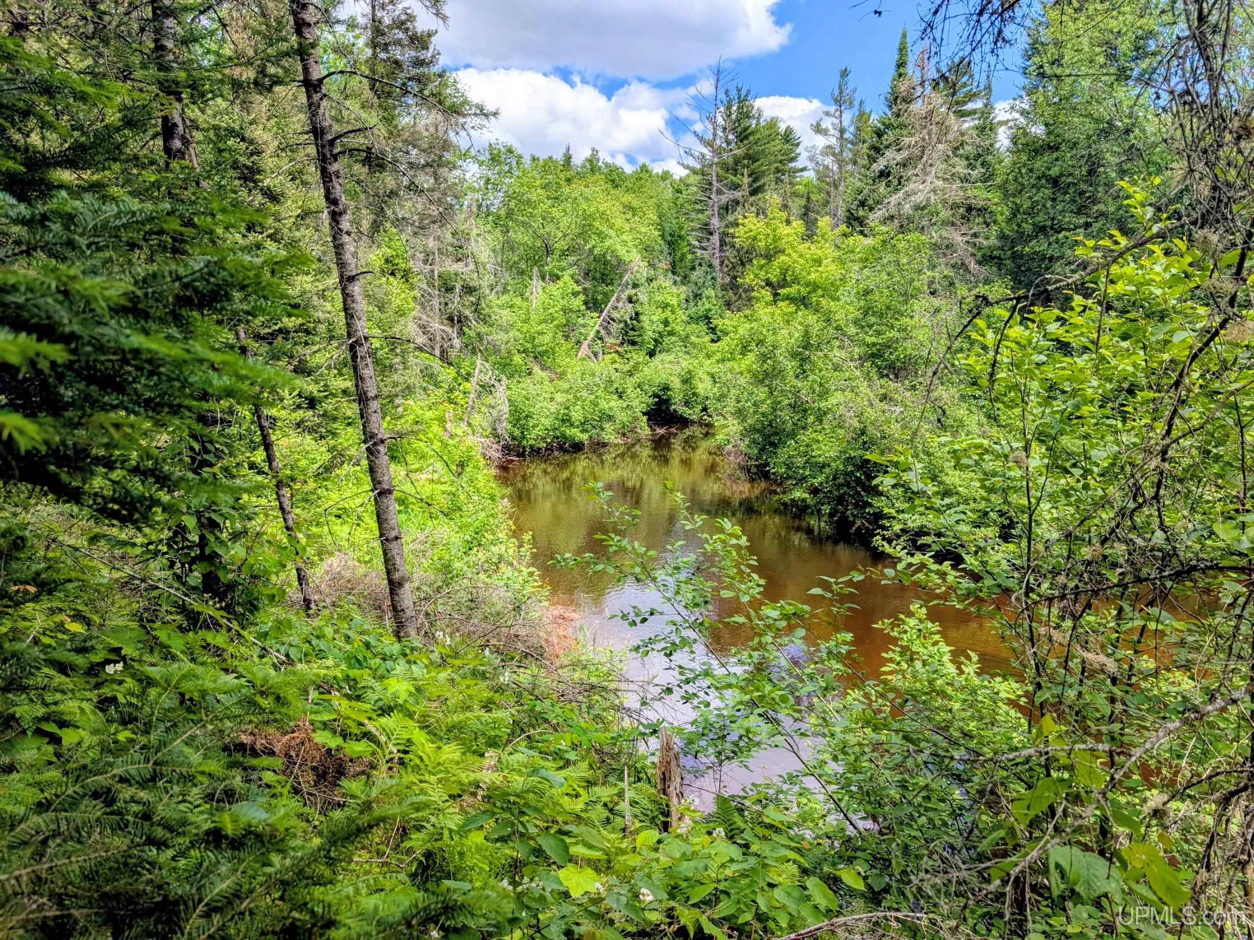 55 Acres Old M 28 Highway Property Photo 7