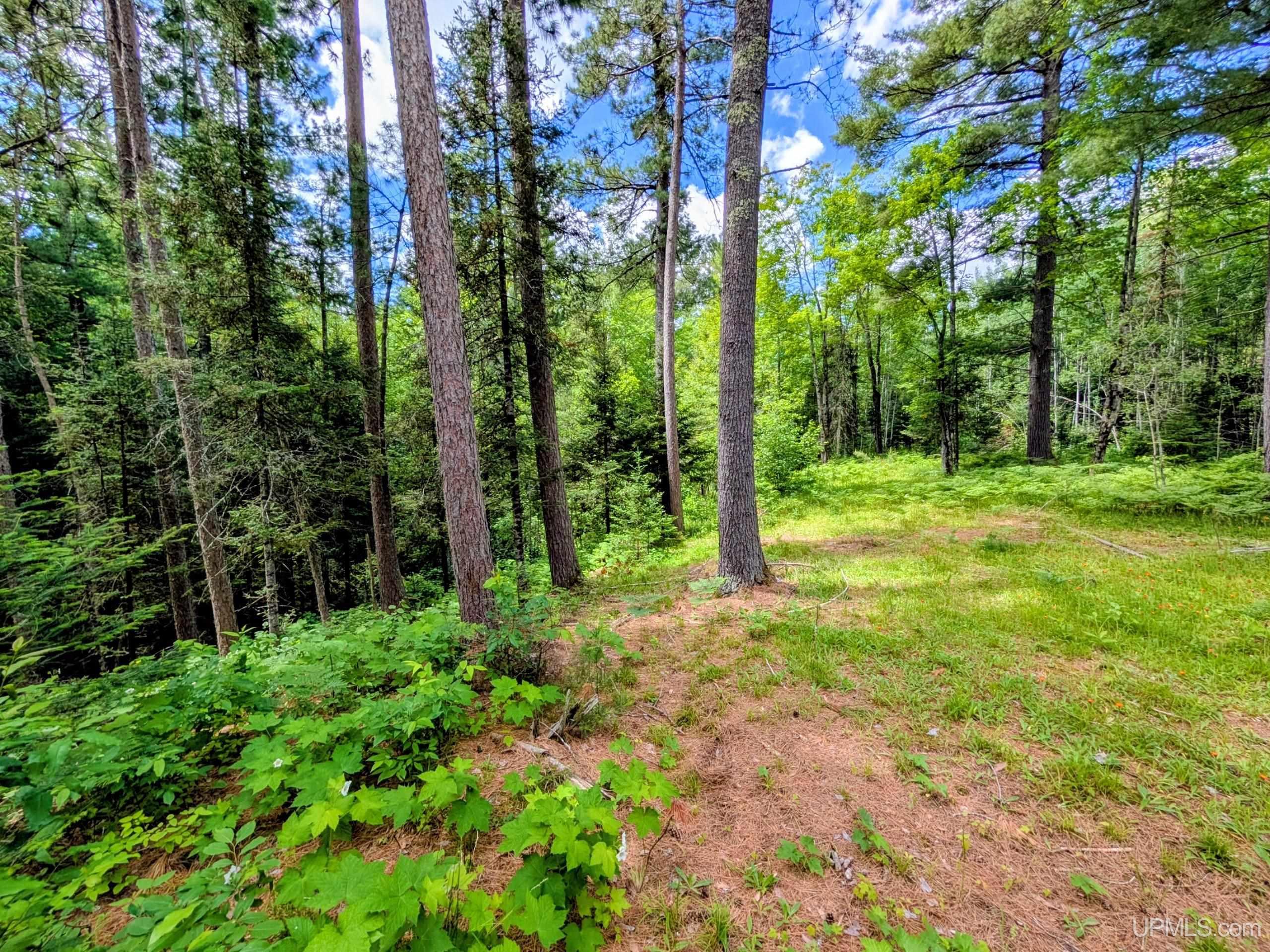 55 Acres Old M 28 Highway Property Photo 13