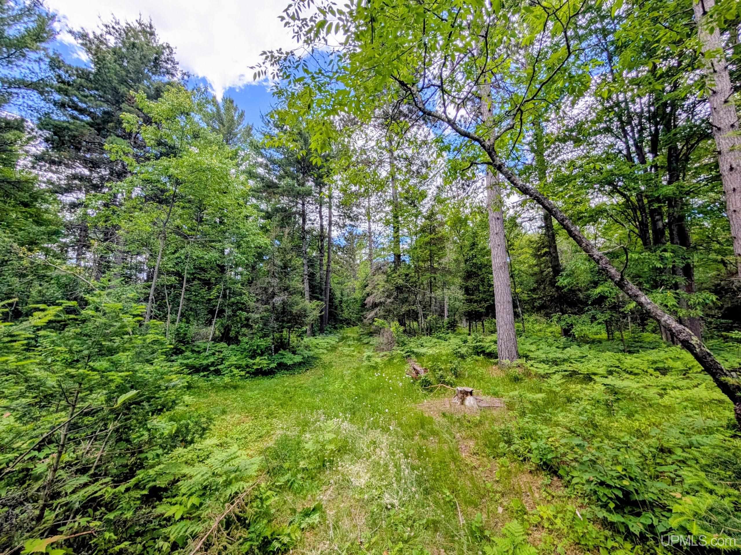 55 Acres Old M 28 Highway Property Photo 15