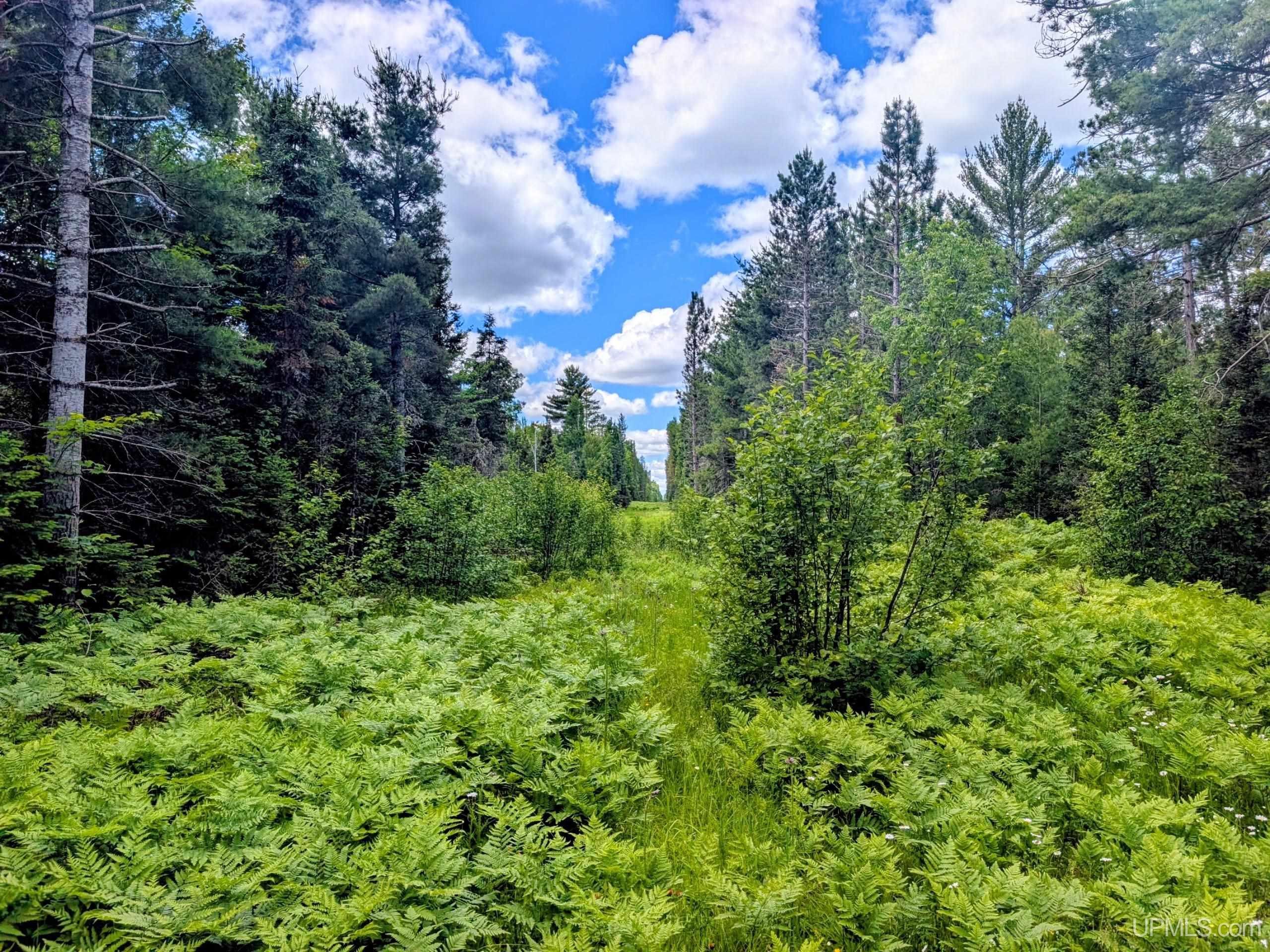 55 Acres Old M 28 Highway Property Photo 19