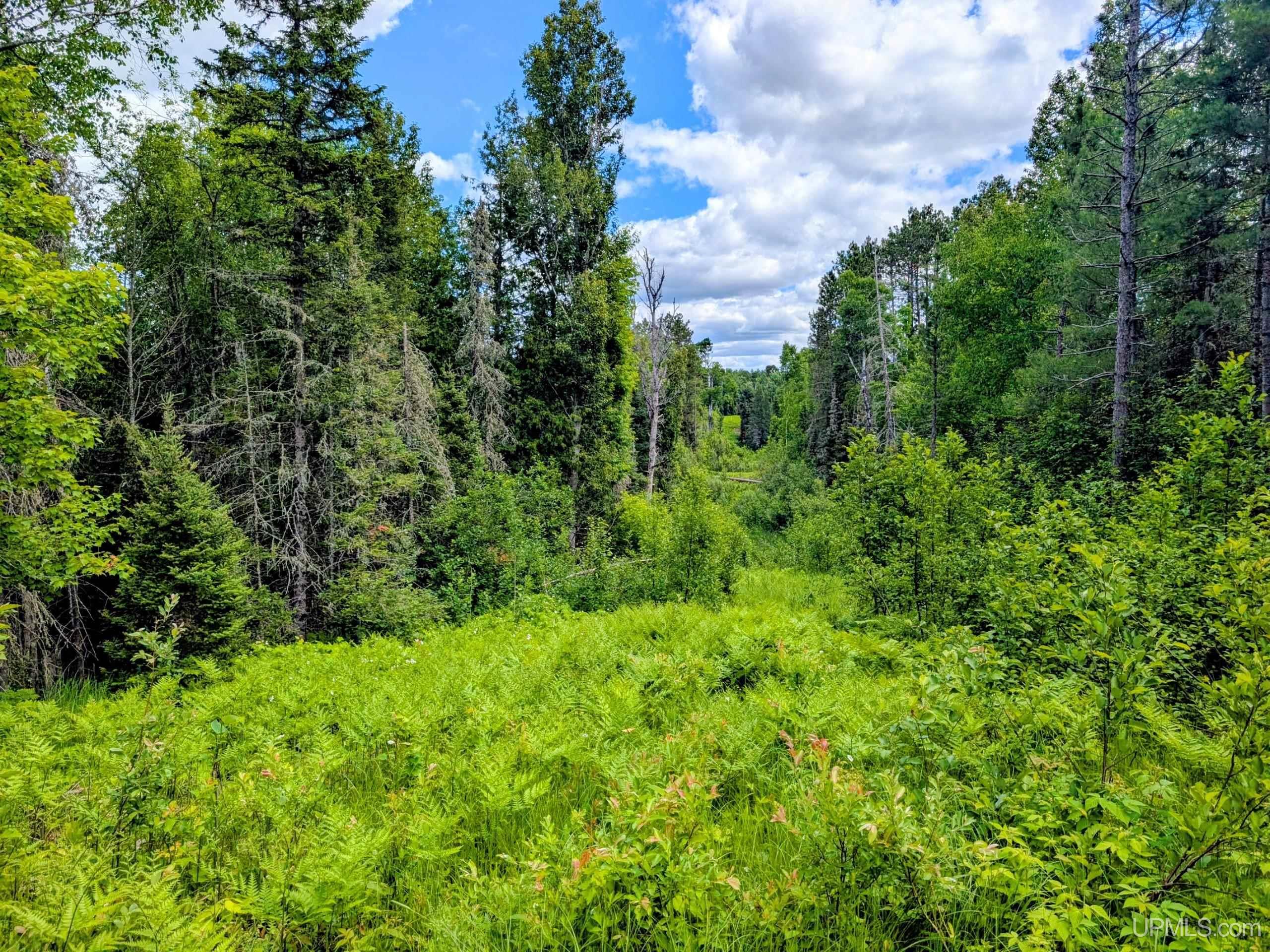55 Acres Old M 28 Highway Property Photo 21