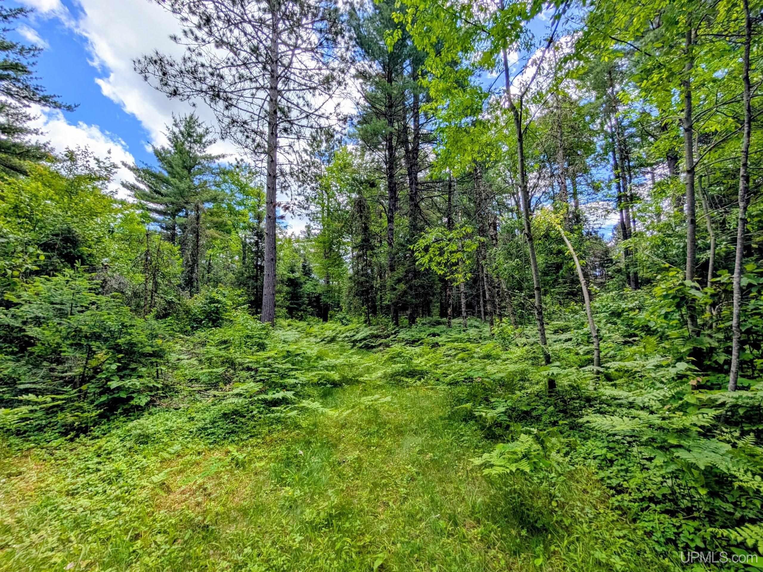 55 Acres Old M 28 Highway Property Photo 22