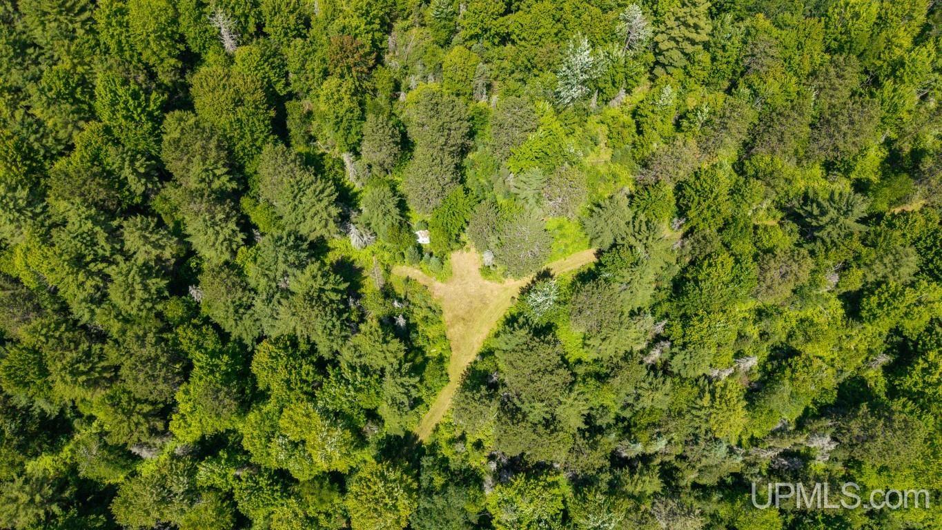 55 Acres Old M 28 Highway Property Photo 28