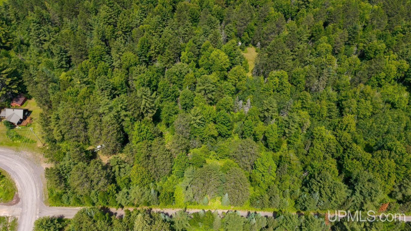 55 Acres Old M 28 Highway Property Photo 31