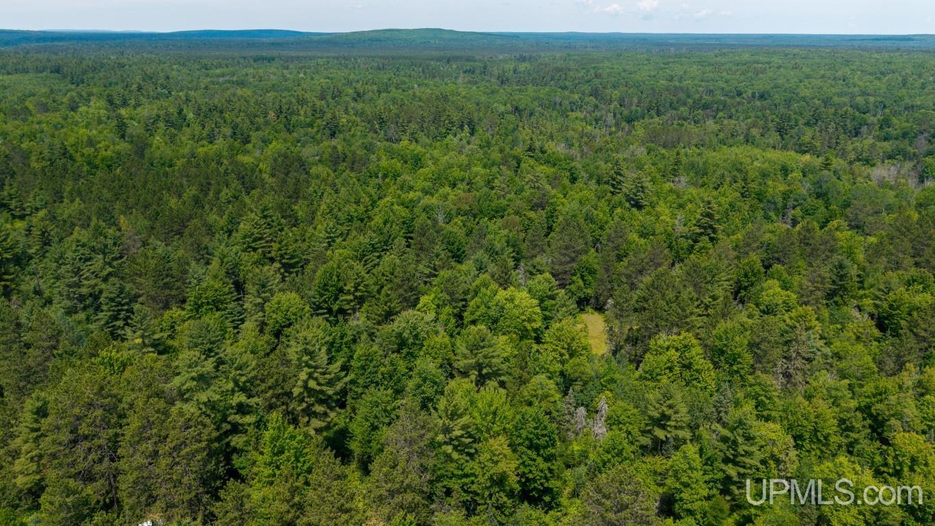 55 Acres Old M 28 Highway Property Photo 32