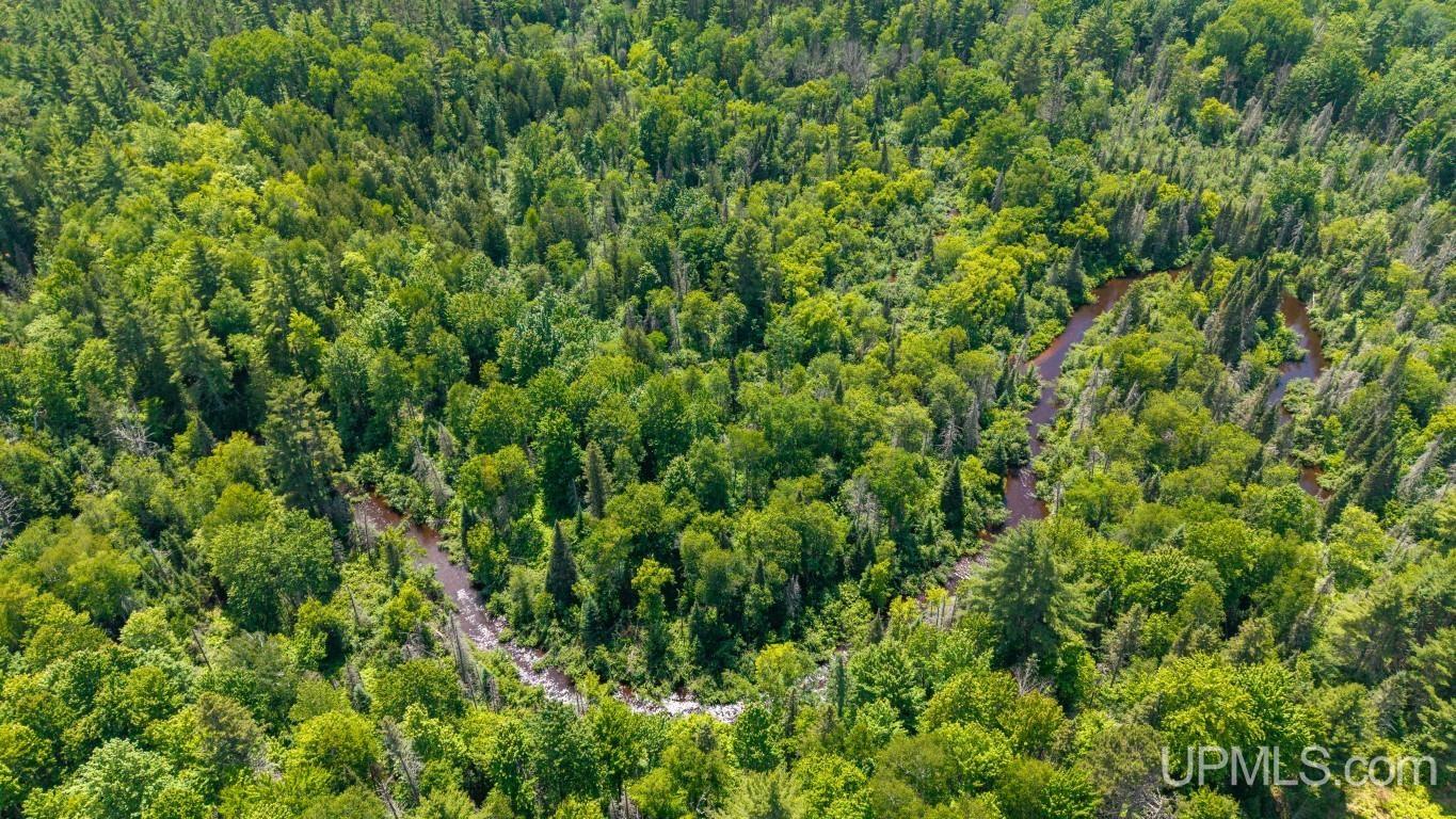55 Acres Old M 28 Highway Property Photo 38