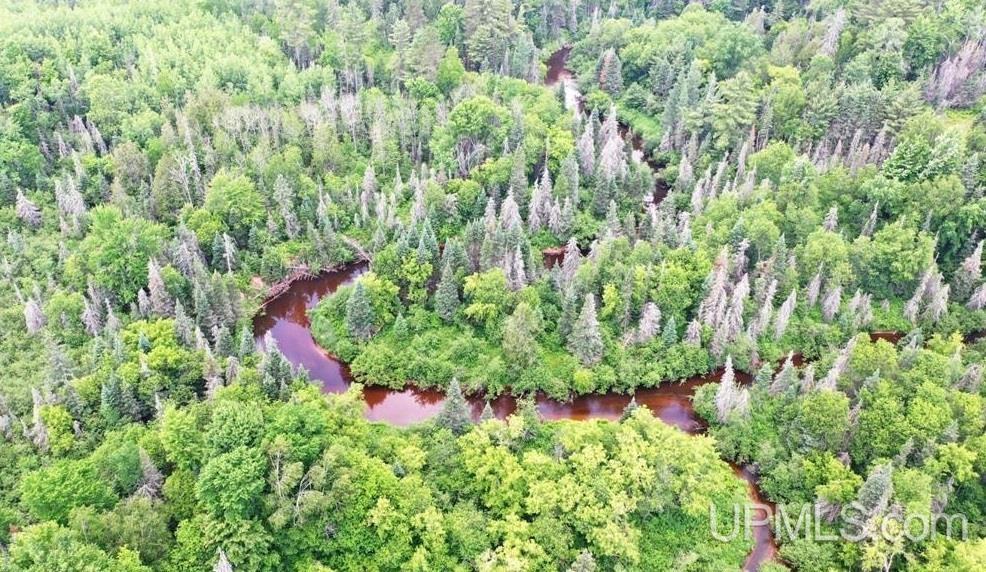 55 Acres Old M 28 Highway Property Photo 39