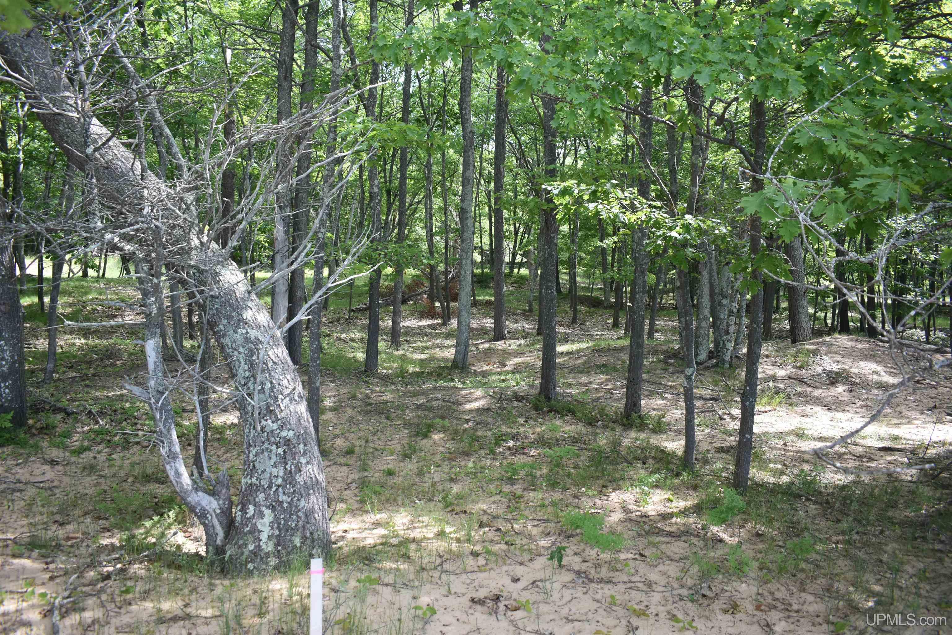 Tbd Ll.5 Ln Beach Property Photo 7