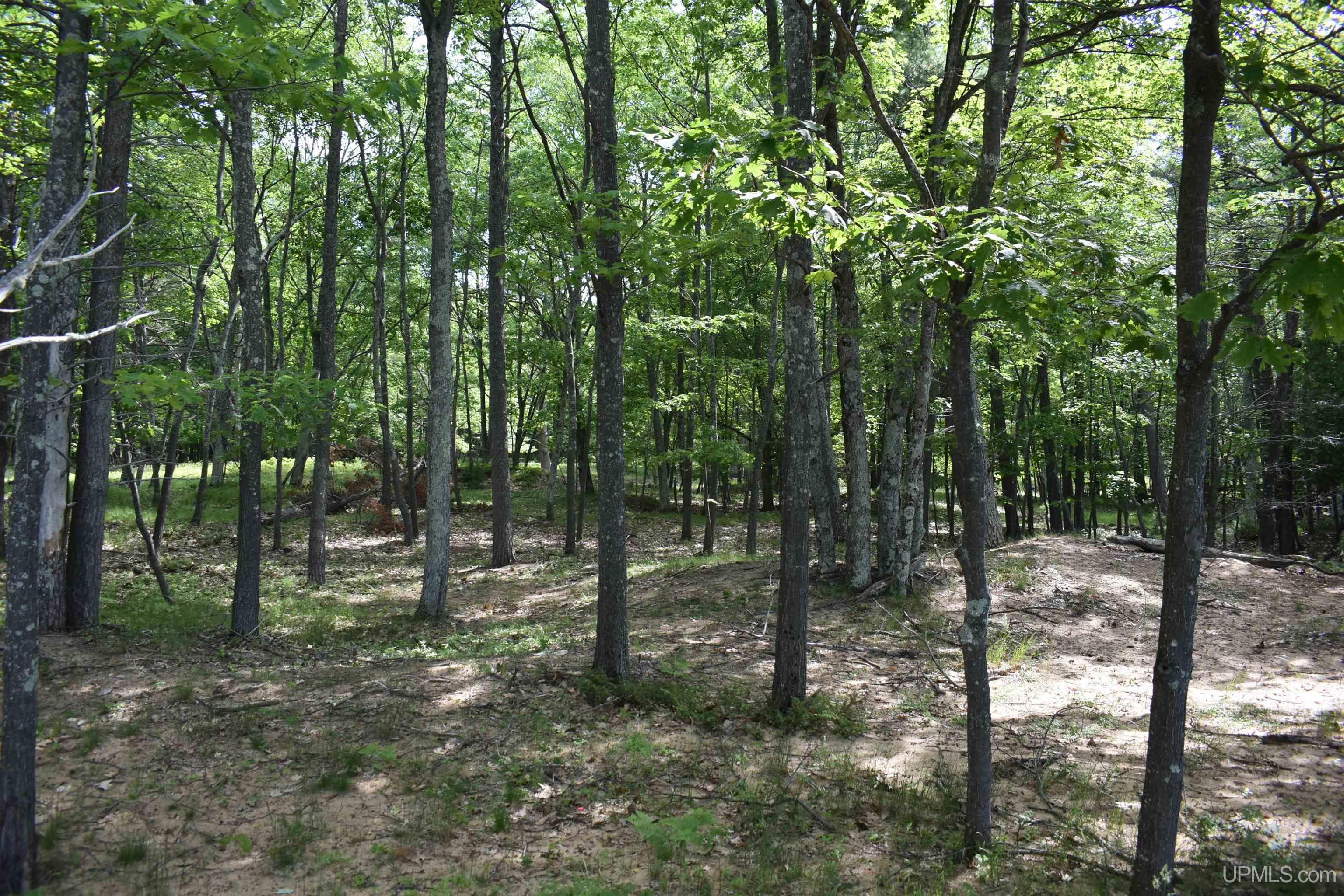 Tbd Ll.5 Ln Beach Property Photo 8
