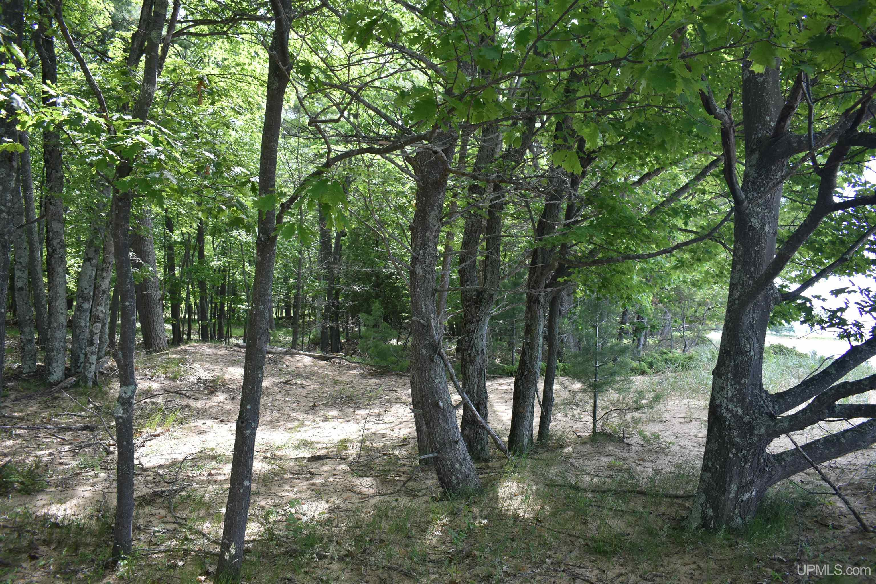 Tbd Ll.5 Ln Beach Property Photo 9
