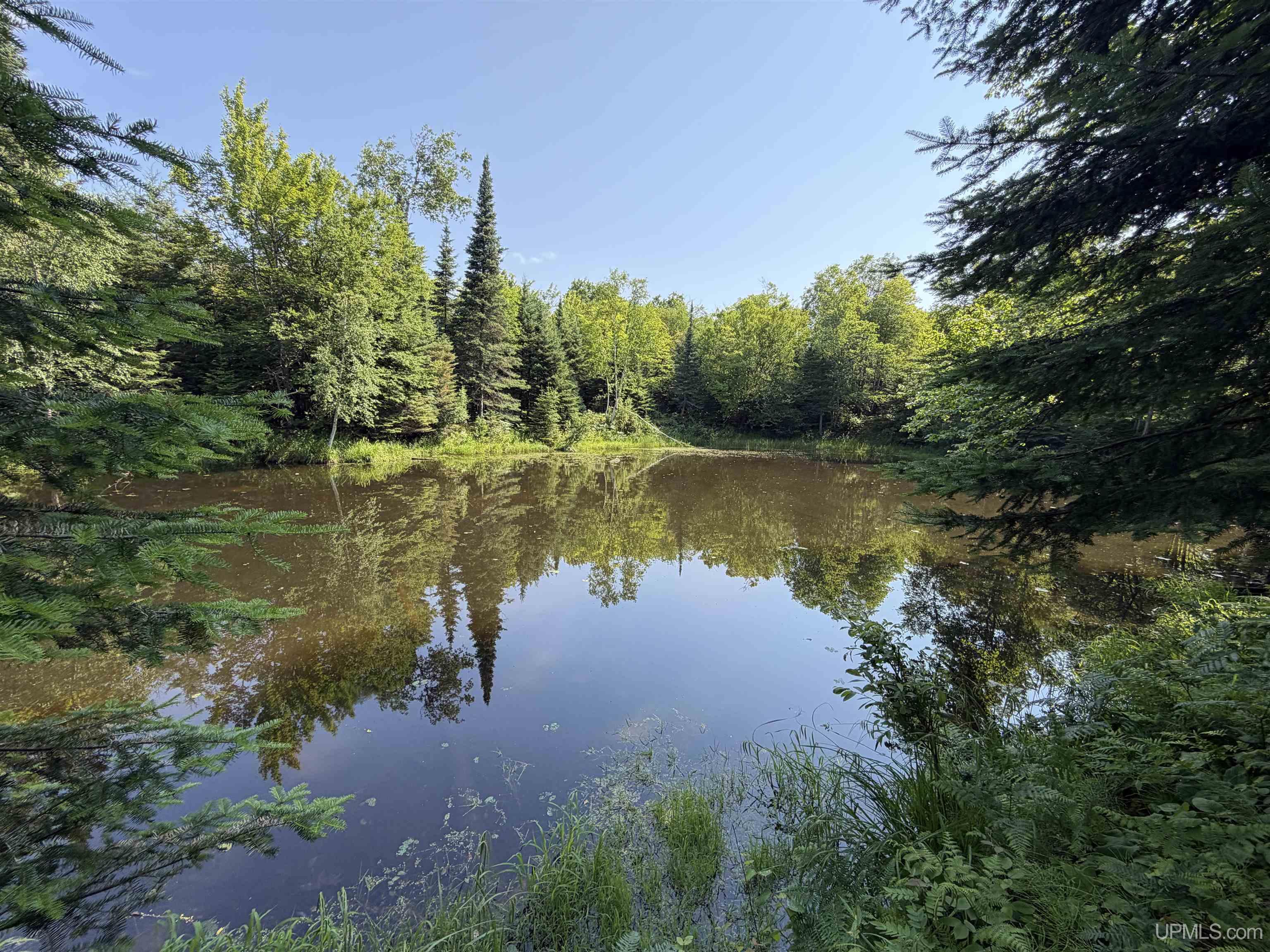 14598 Arnheim Road Property Photo 1