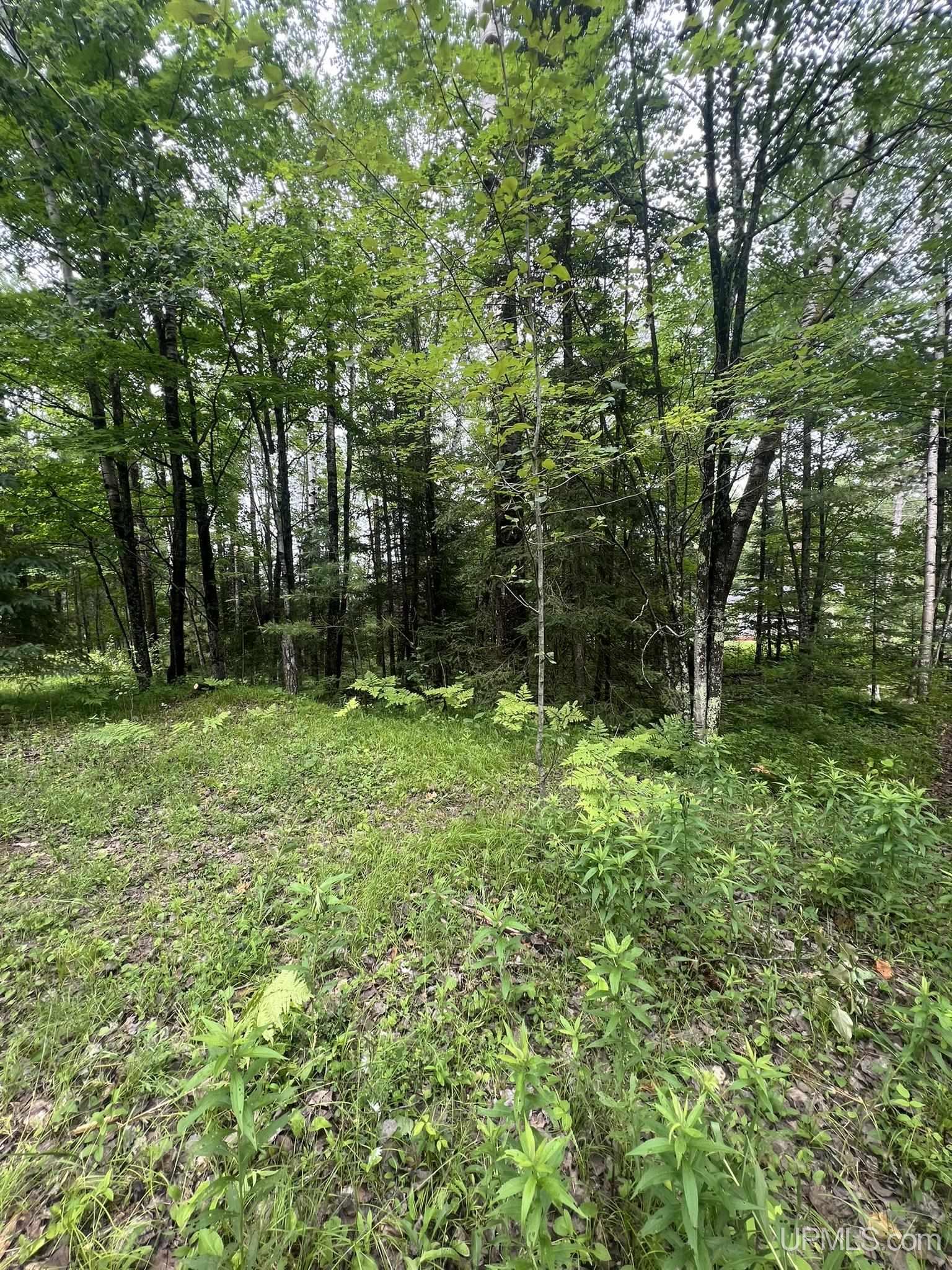 Tbd Waucedah Road Property Photo 3