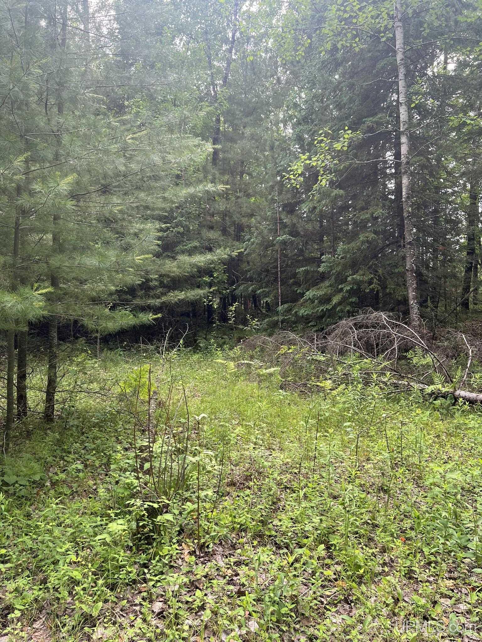 Tbd Waucedah Road Property Photo 7