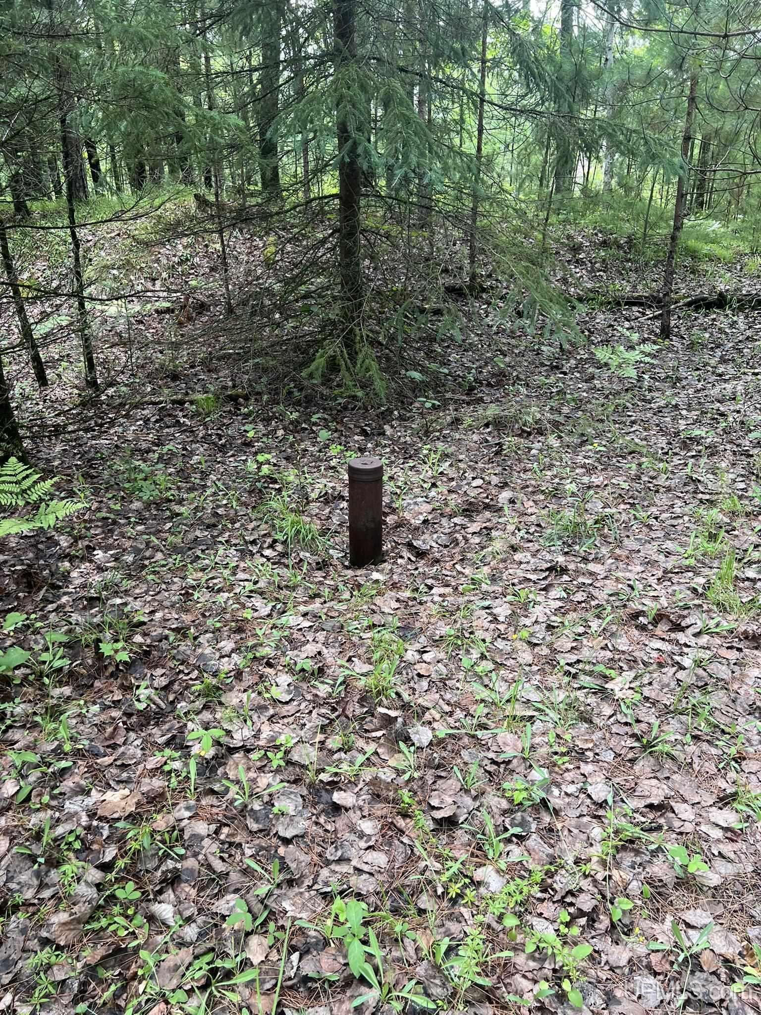Tbd Waucedah Road Property Photo 8