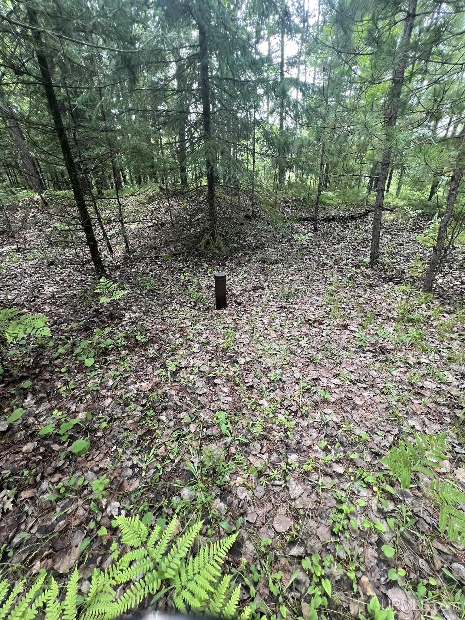 Tbd Waucedah Road Property Photo 9