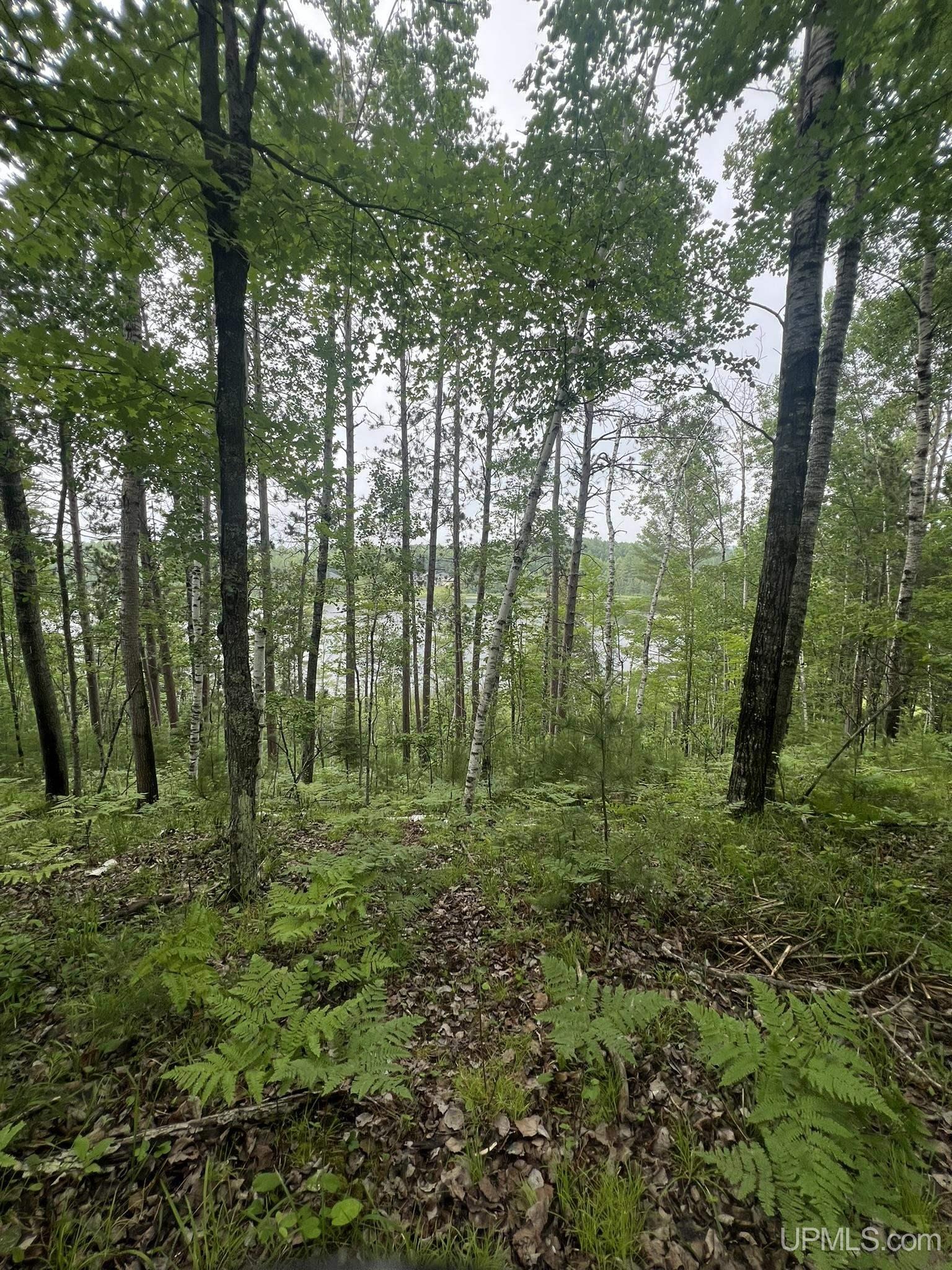 Tbd Waucedah Road Property Photo 11