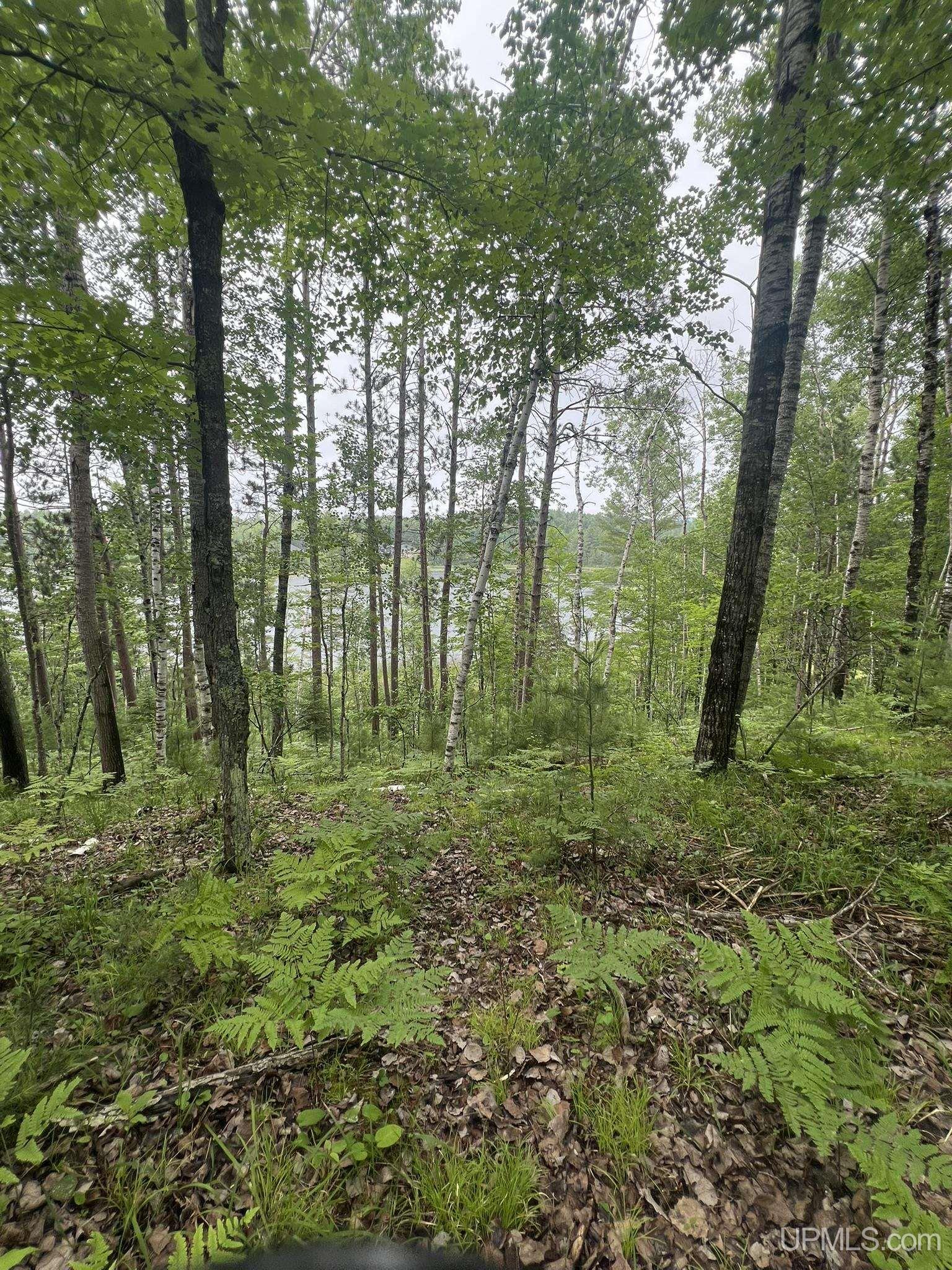 Tbd Waucedah Road Property Photo 12
