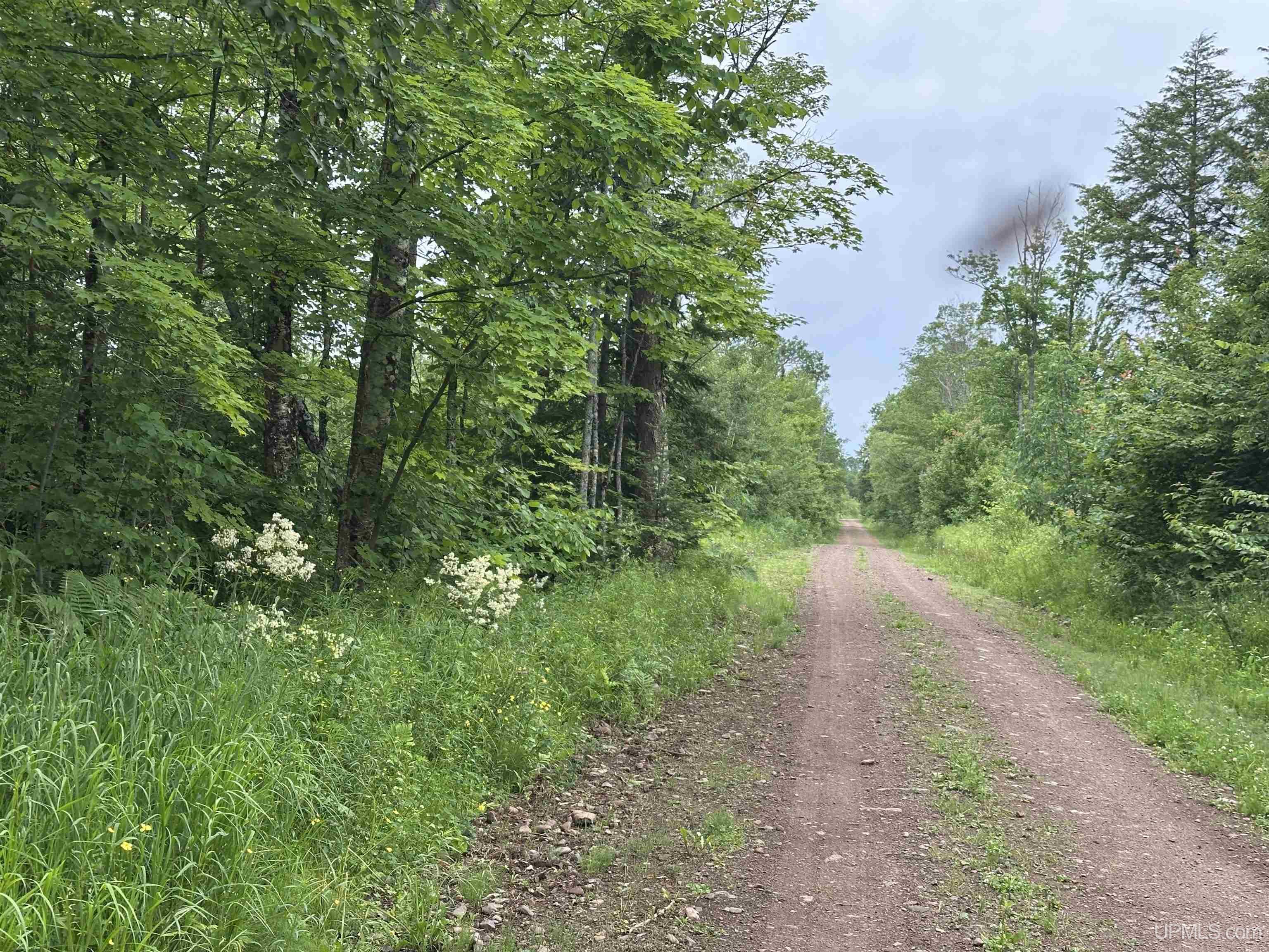 On Fr 484 (aka Camp 3 Rd) Road Property Photo 1