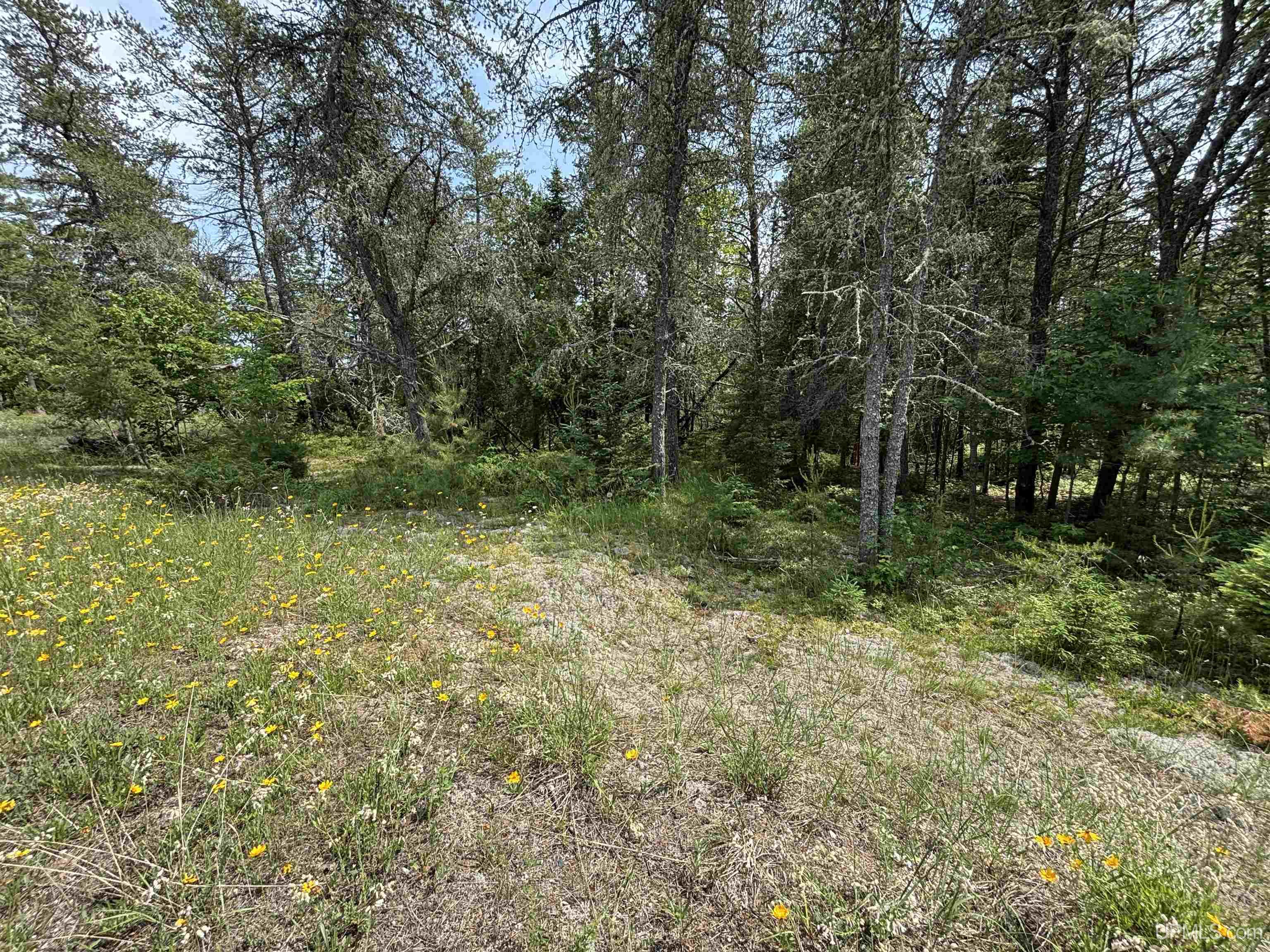 Tbd West Beach Road Property Photo 5