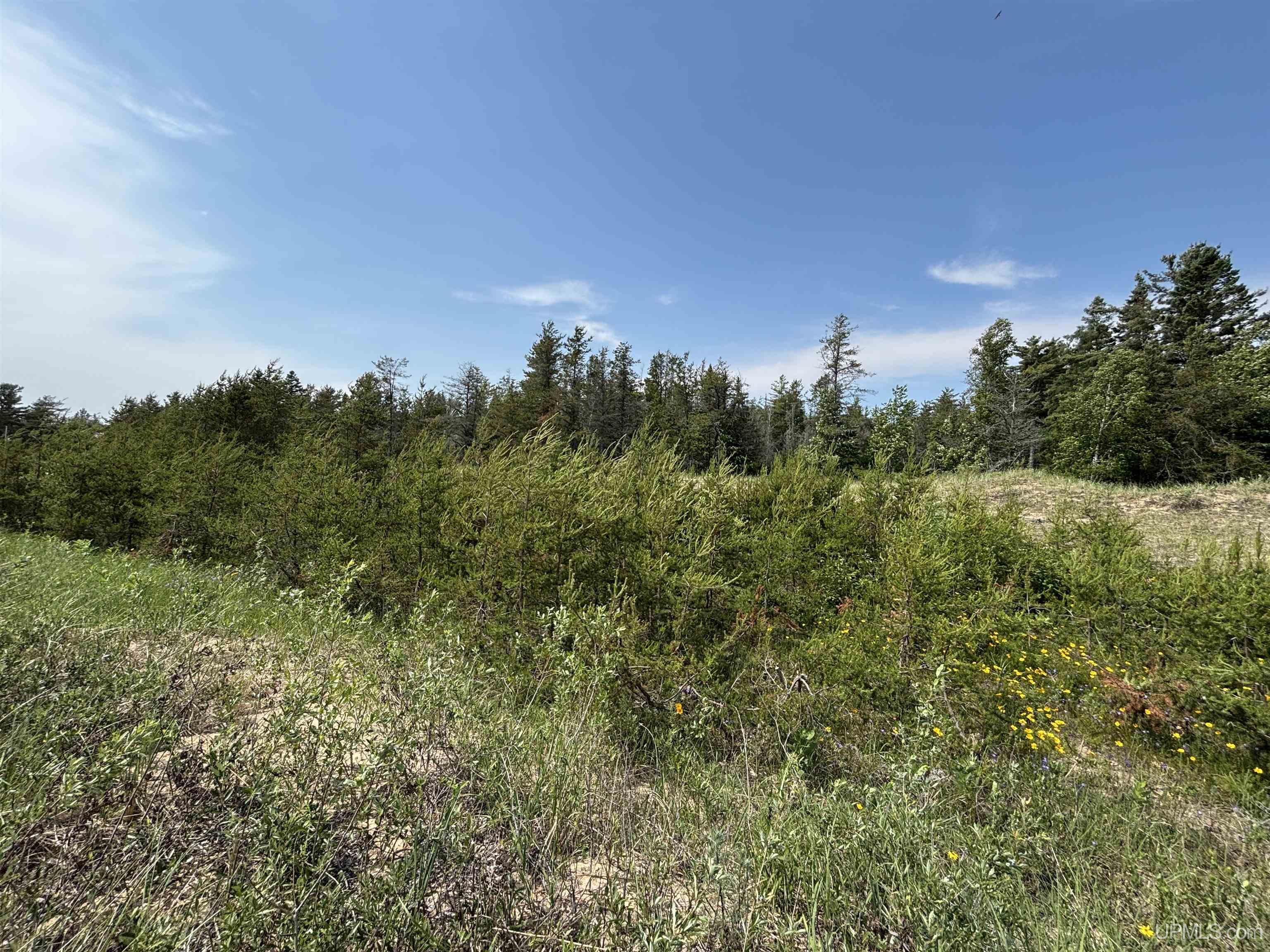 Tbd West Beach Road Property Photo 20