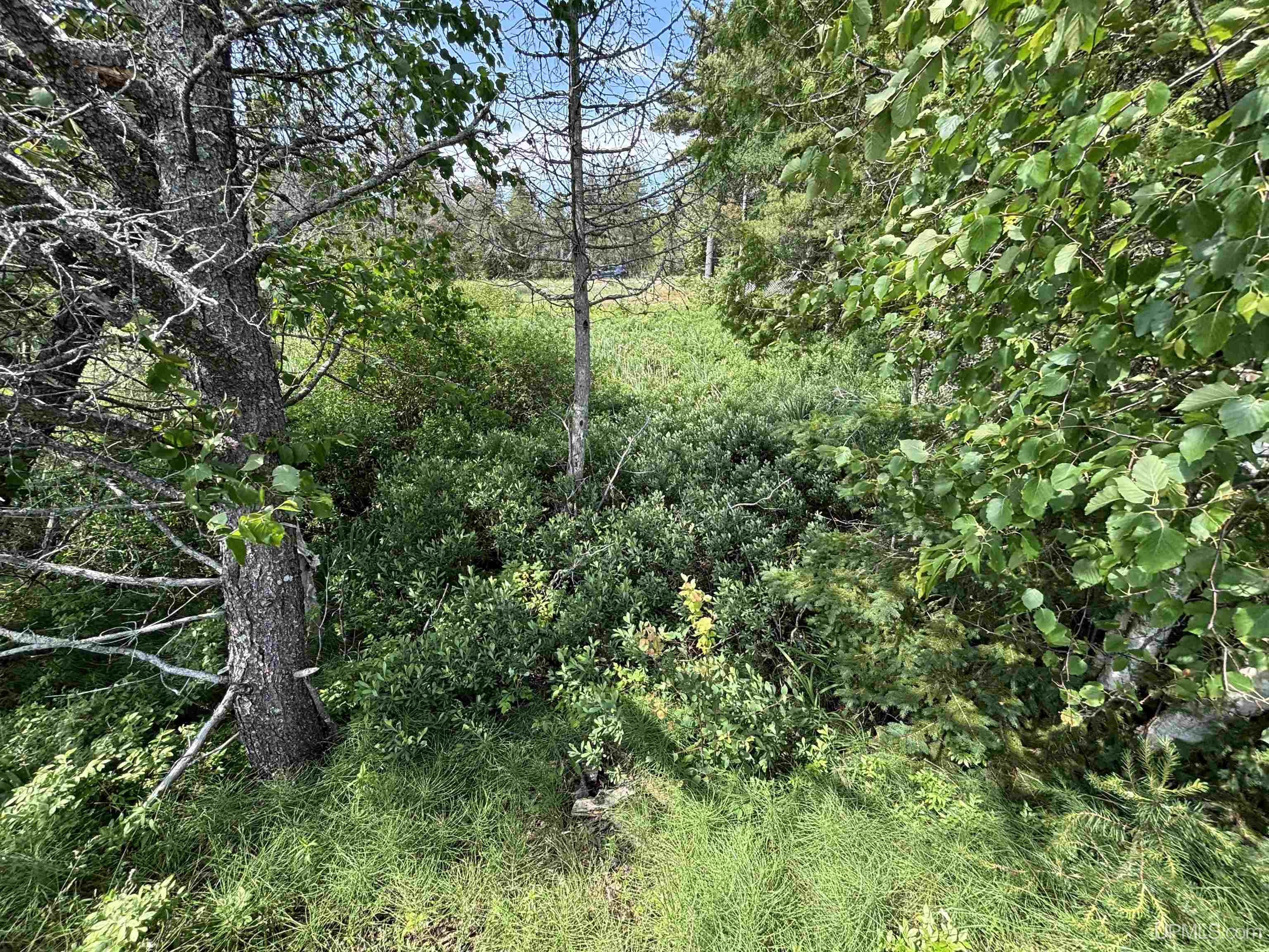 Tbd West Beach Road Property Photo 23