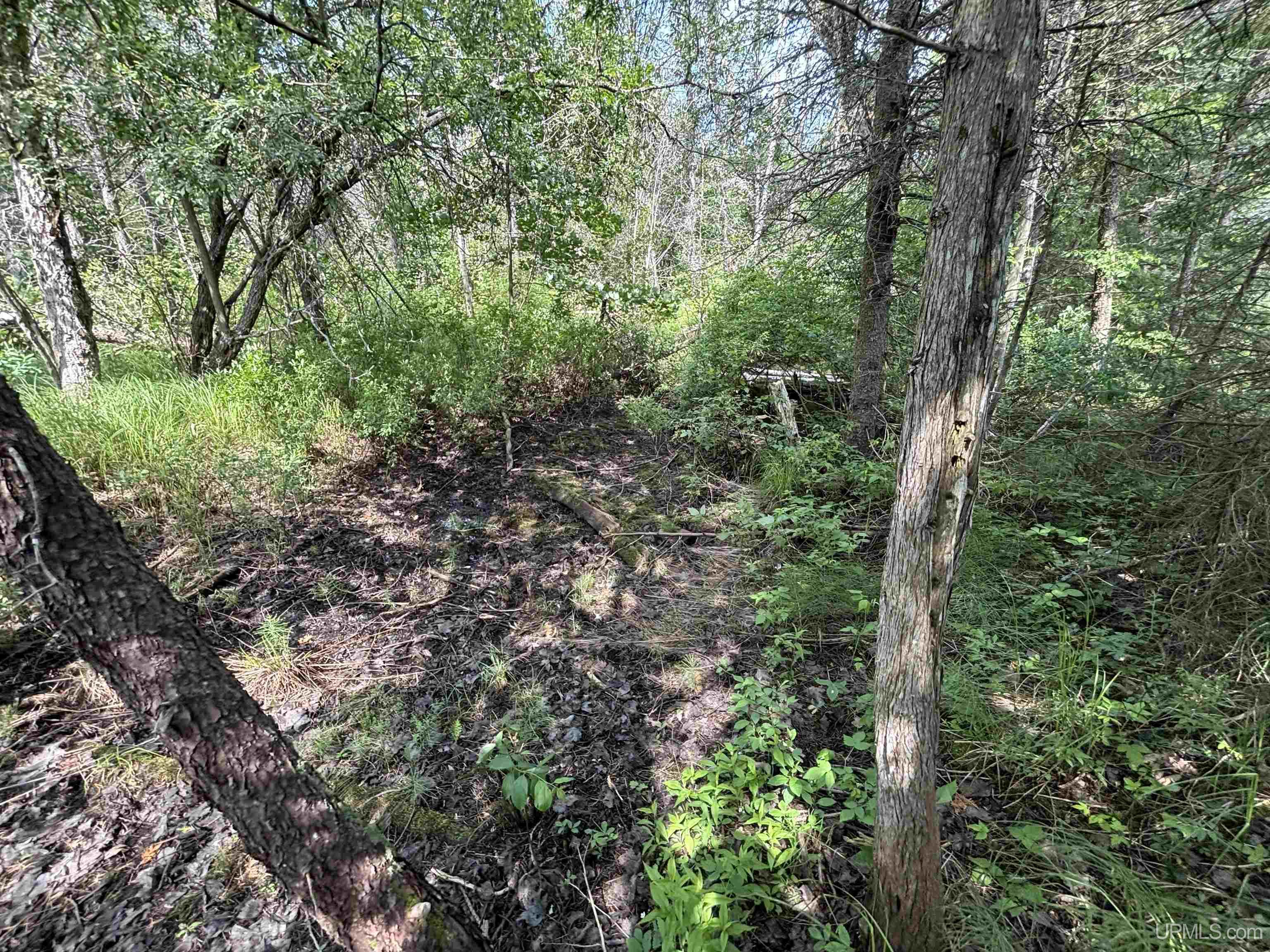 Tbd West Beach Road Property Photo 33