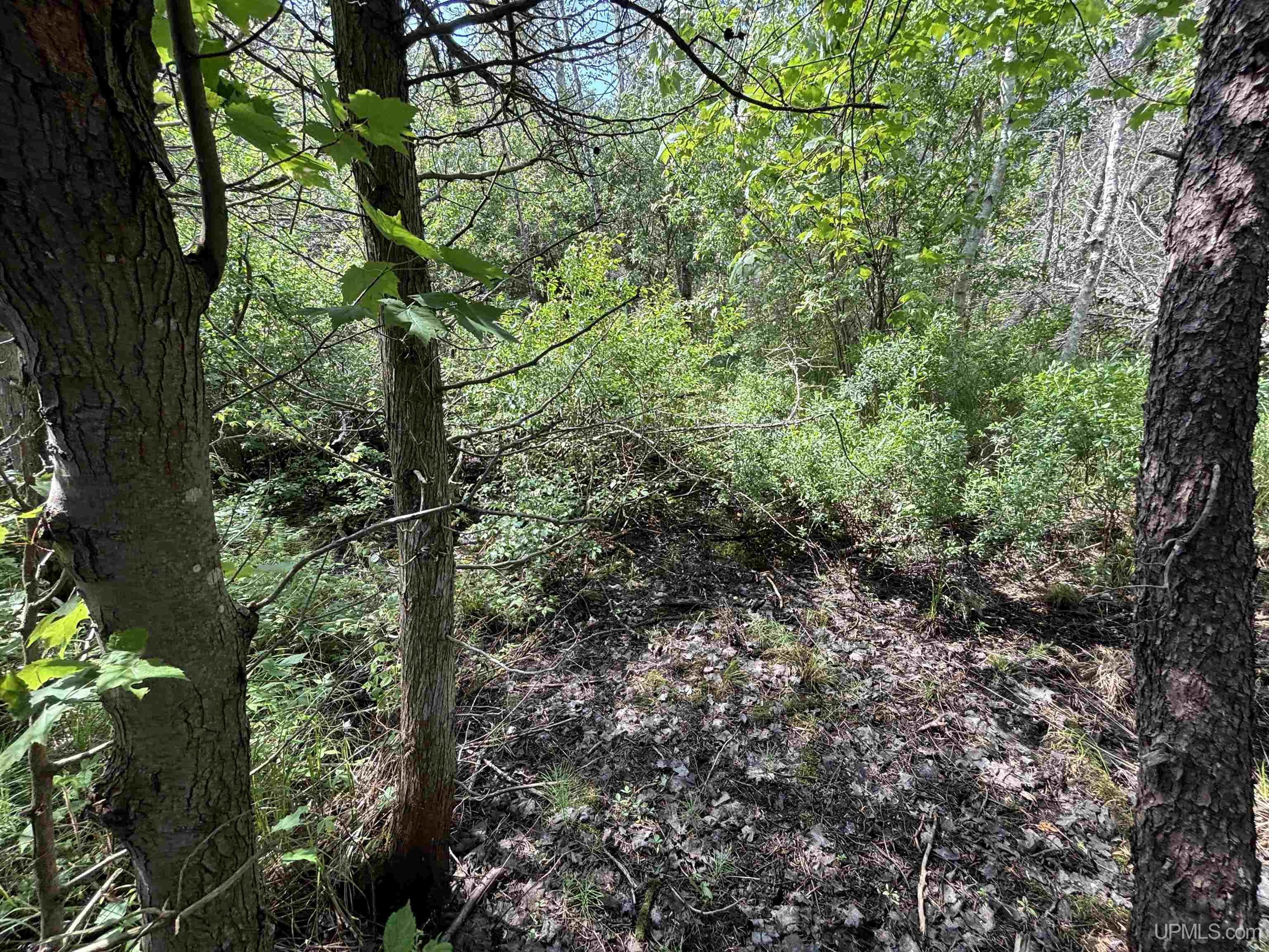 Tbd West Beach Road Property Photo 34