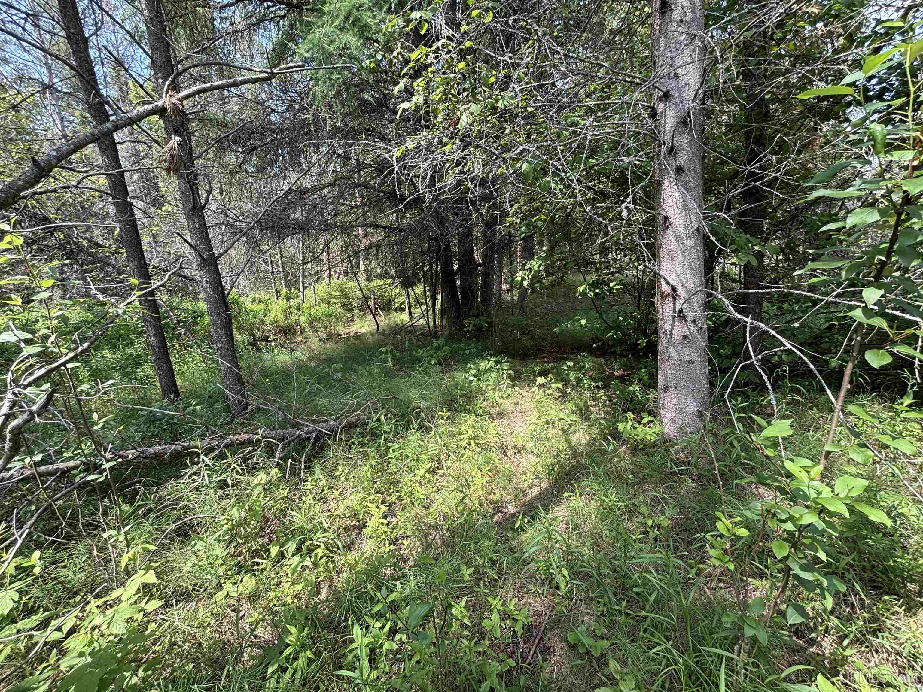 Tbd West Beach Road Property Photo 35
