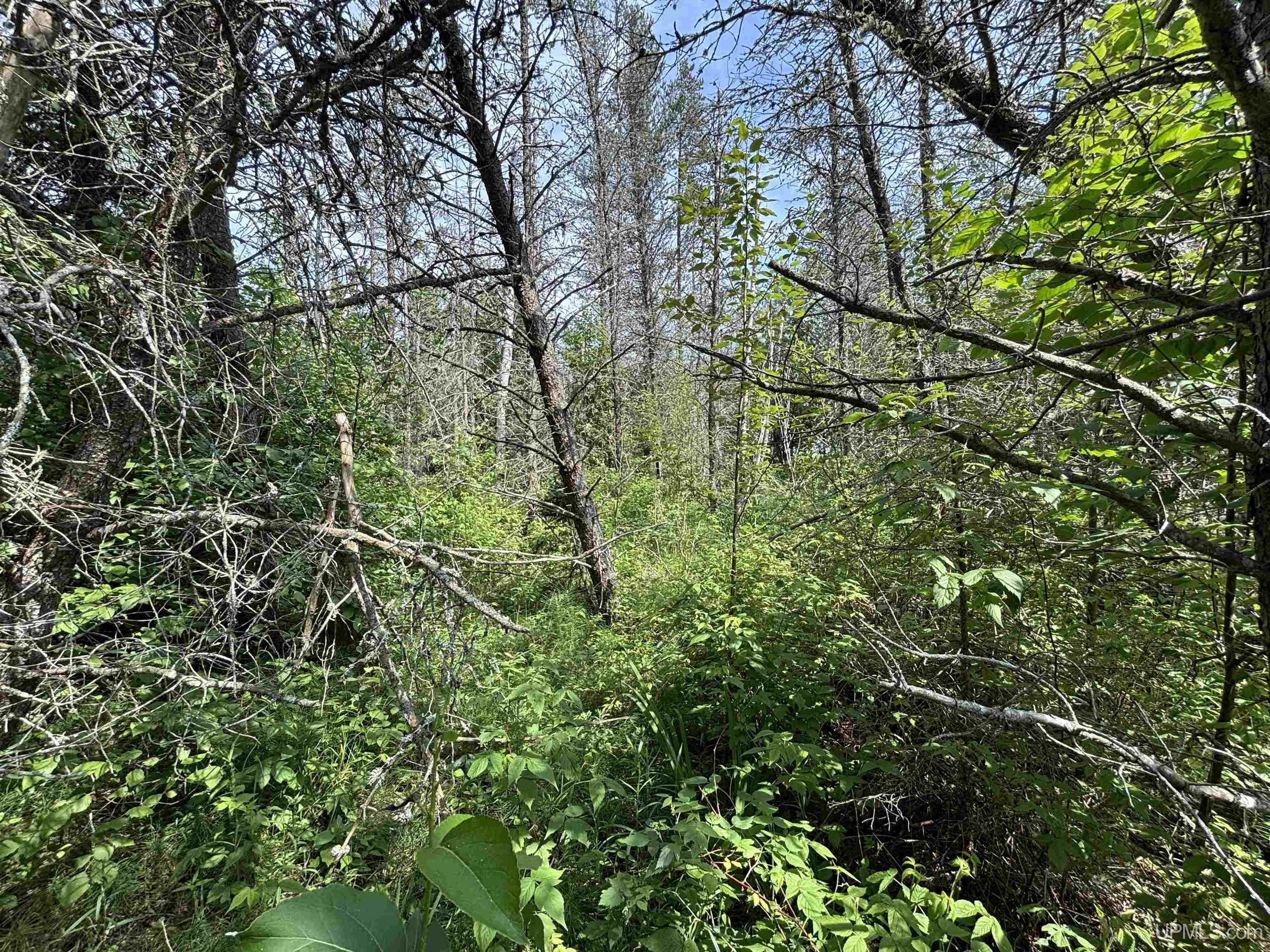 Tbd West Beach Road Property Photo 36