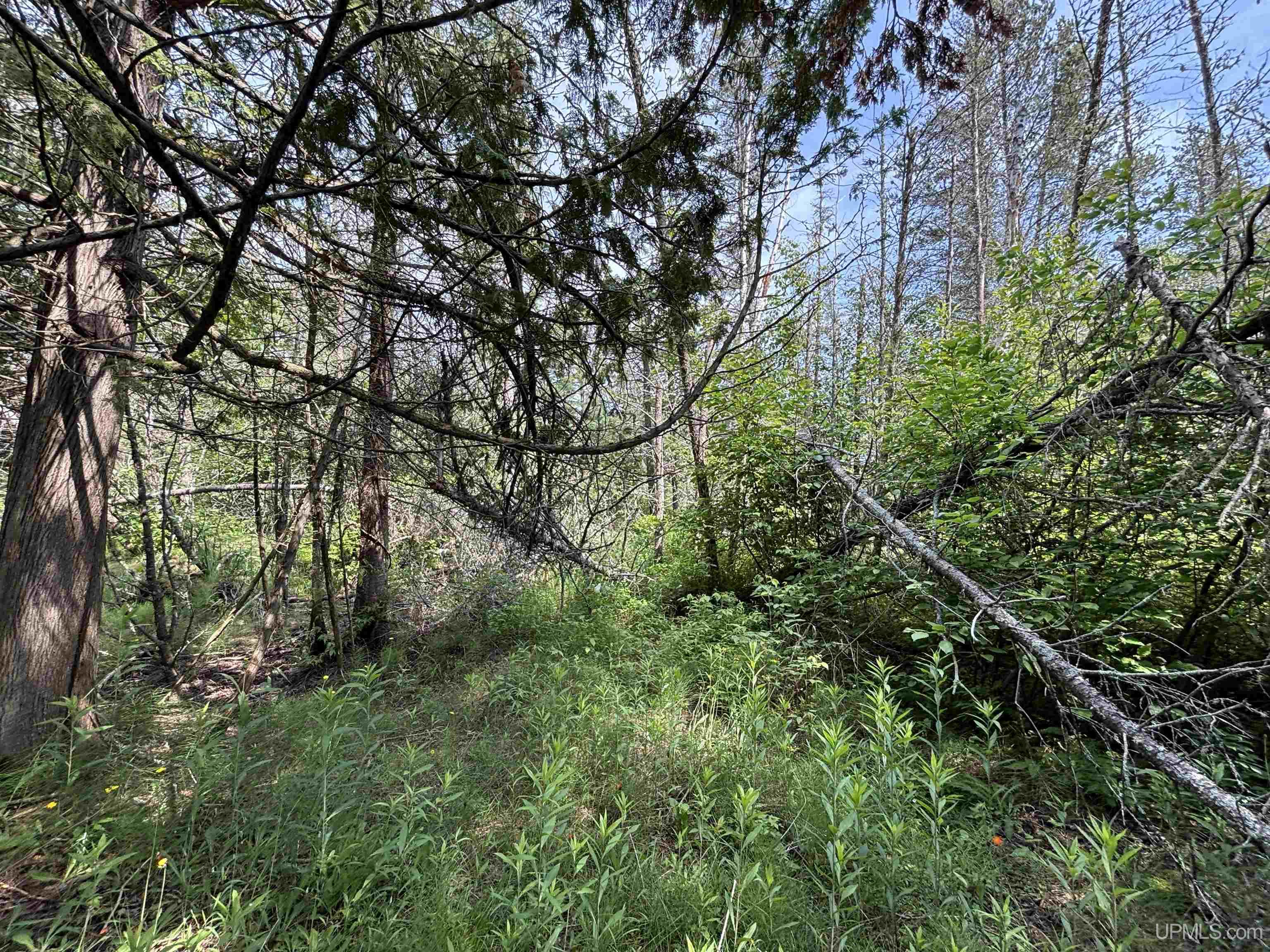 Tbd West Beach Road Property Photo 37